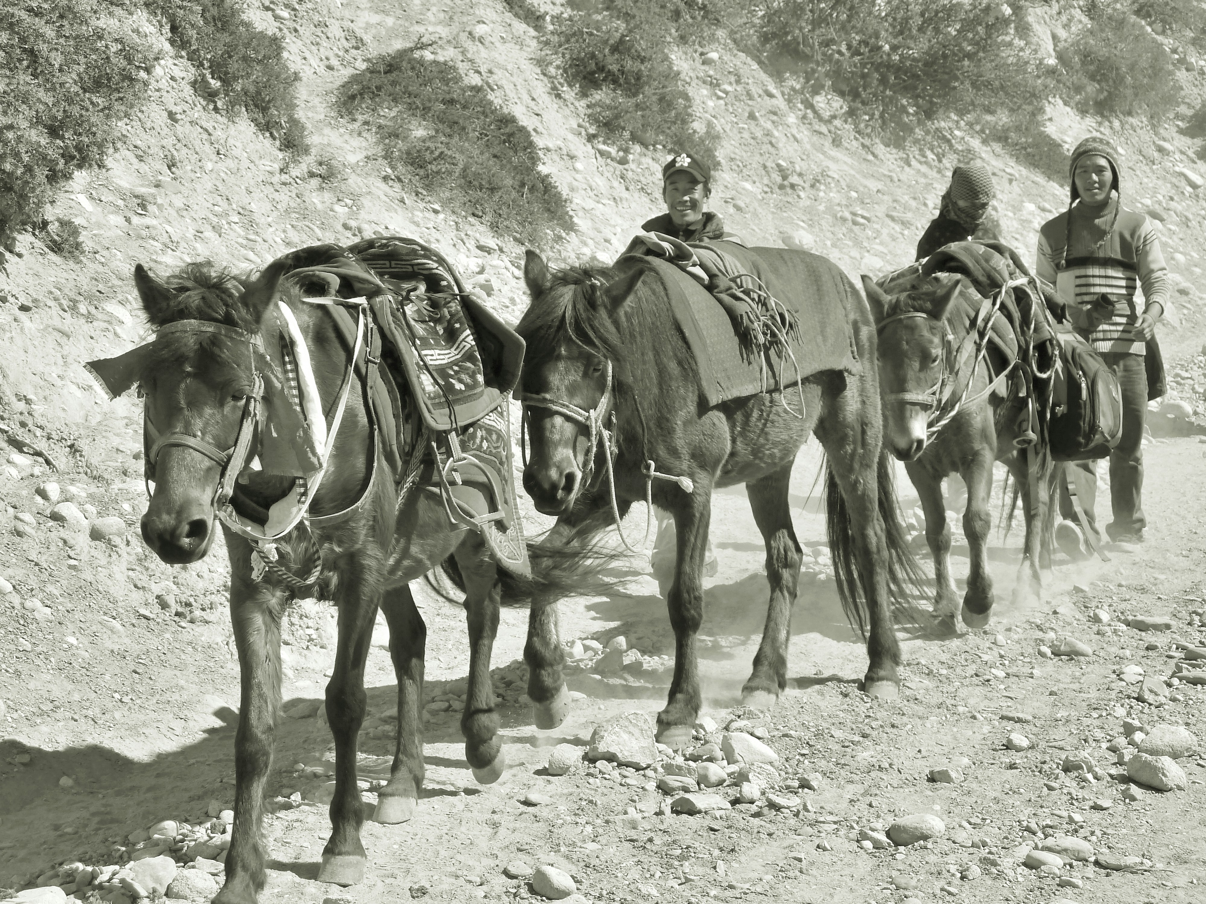 People riding horses on a dusty mountain path.