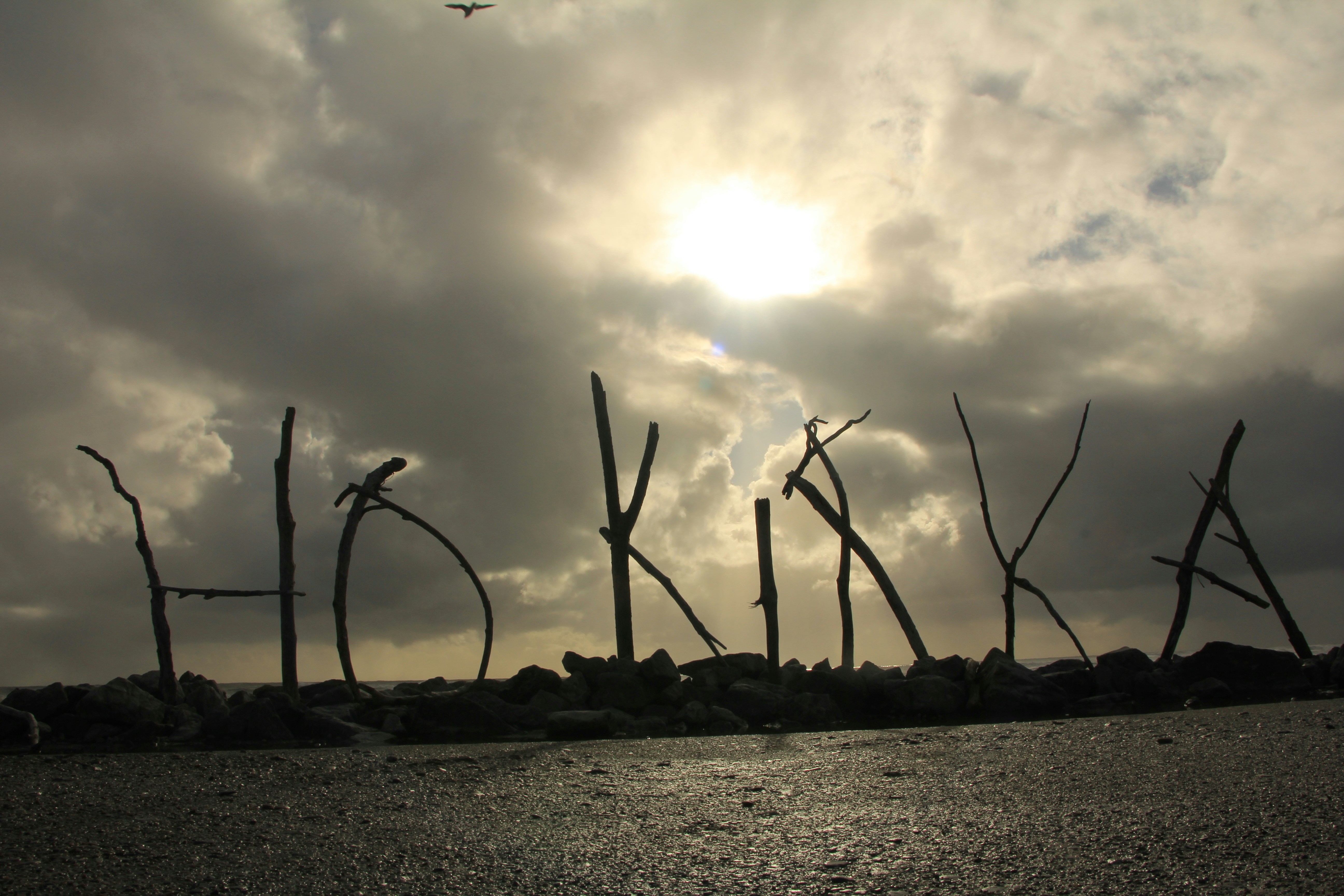 Words made of sticks on a rocky shore