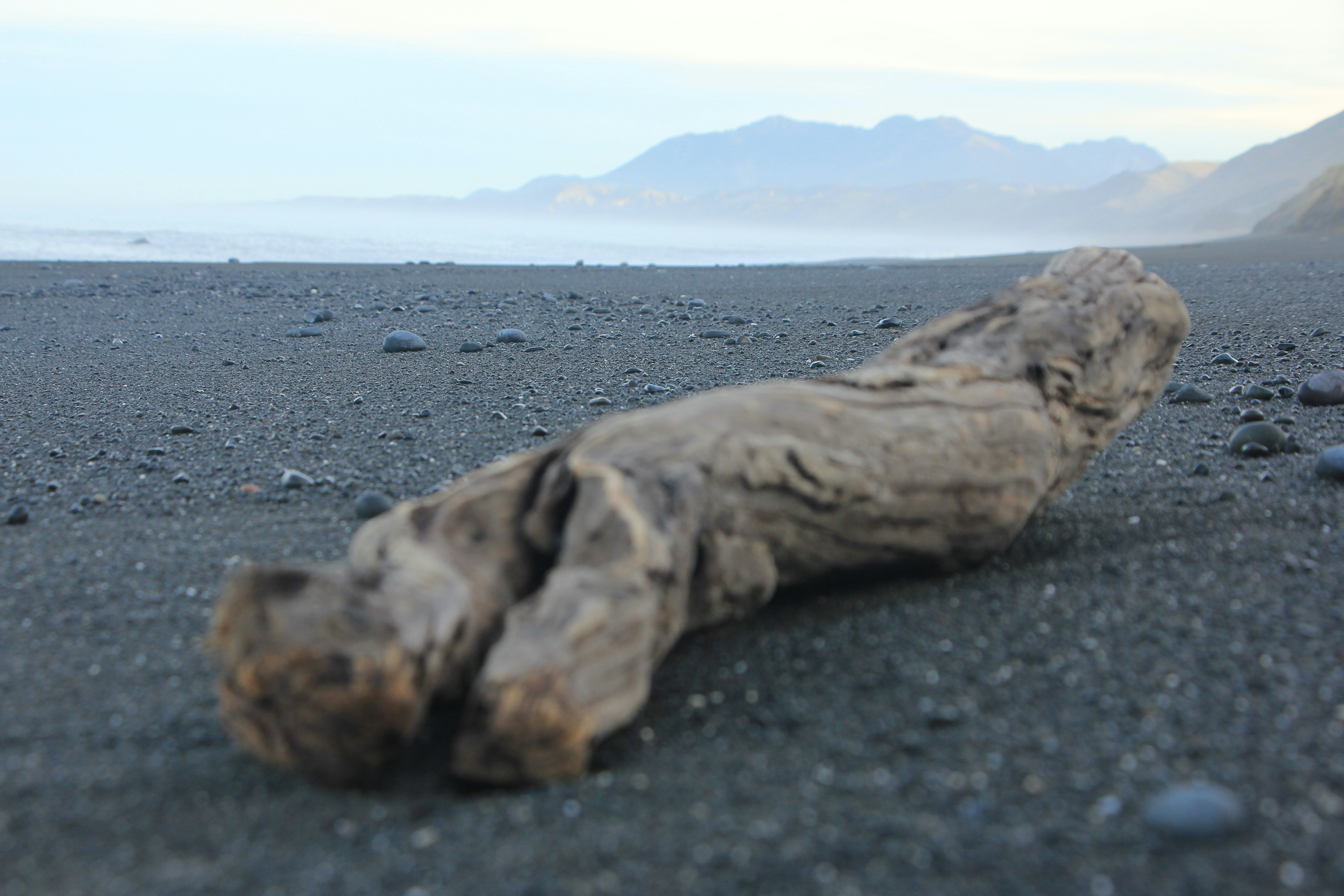 Driftwood on a dark sandy beach with mountains.