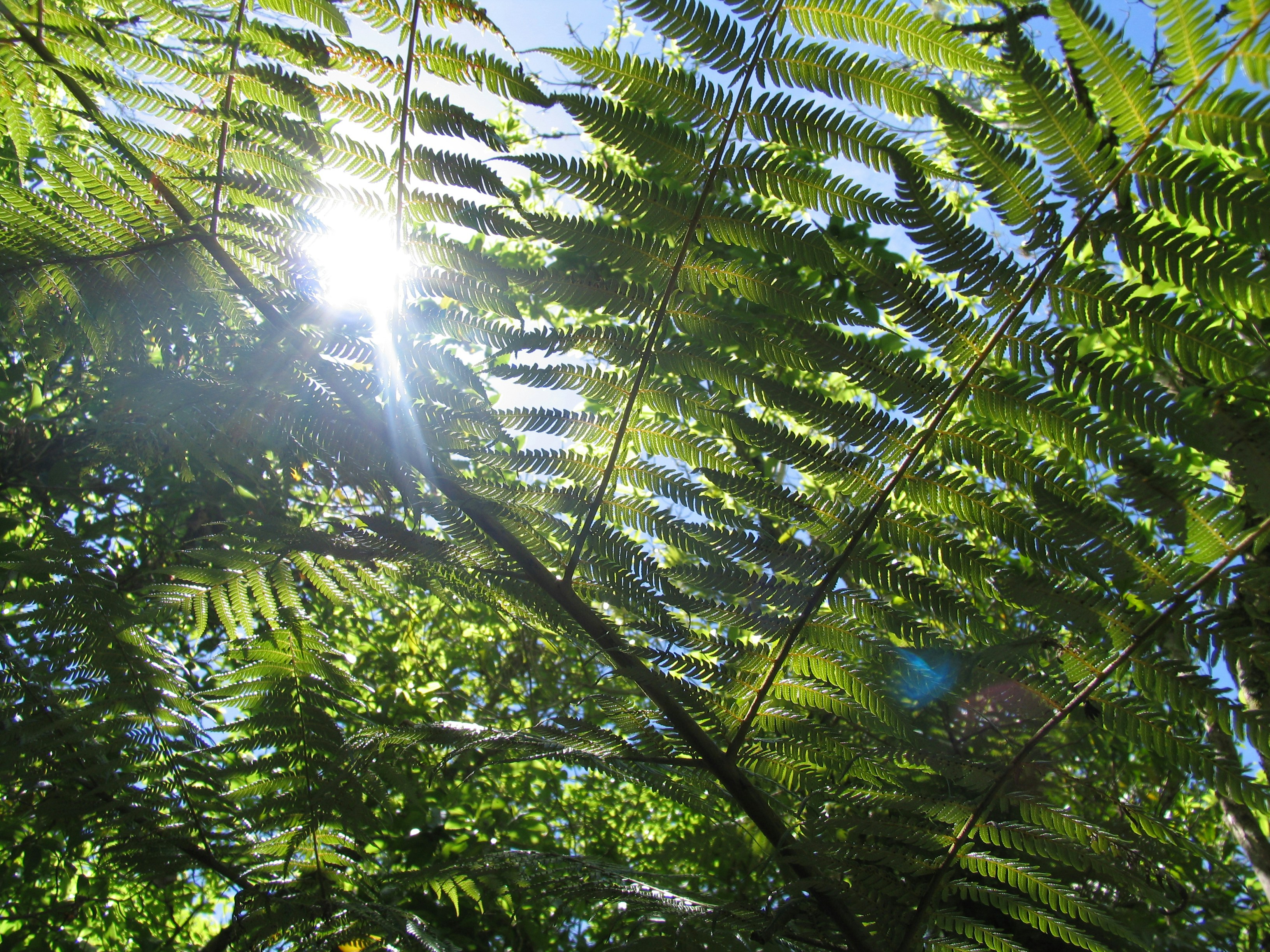 Photo by yvette_harris