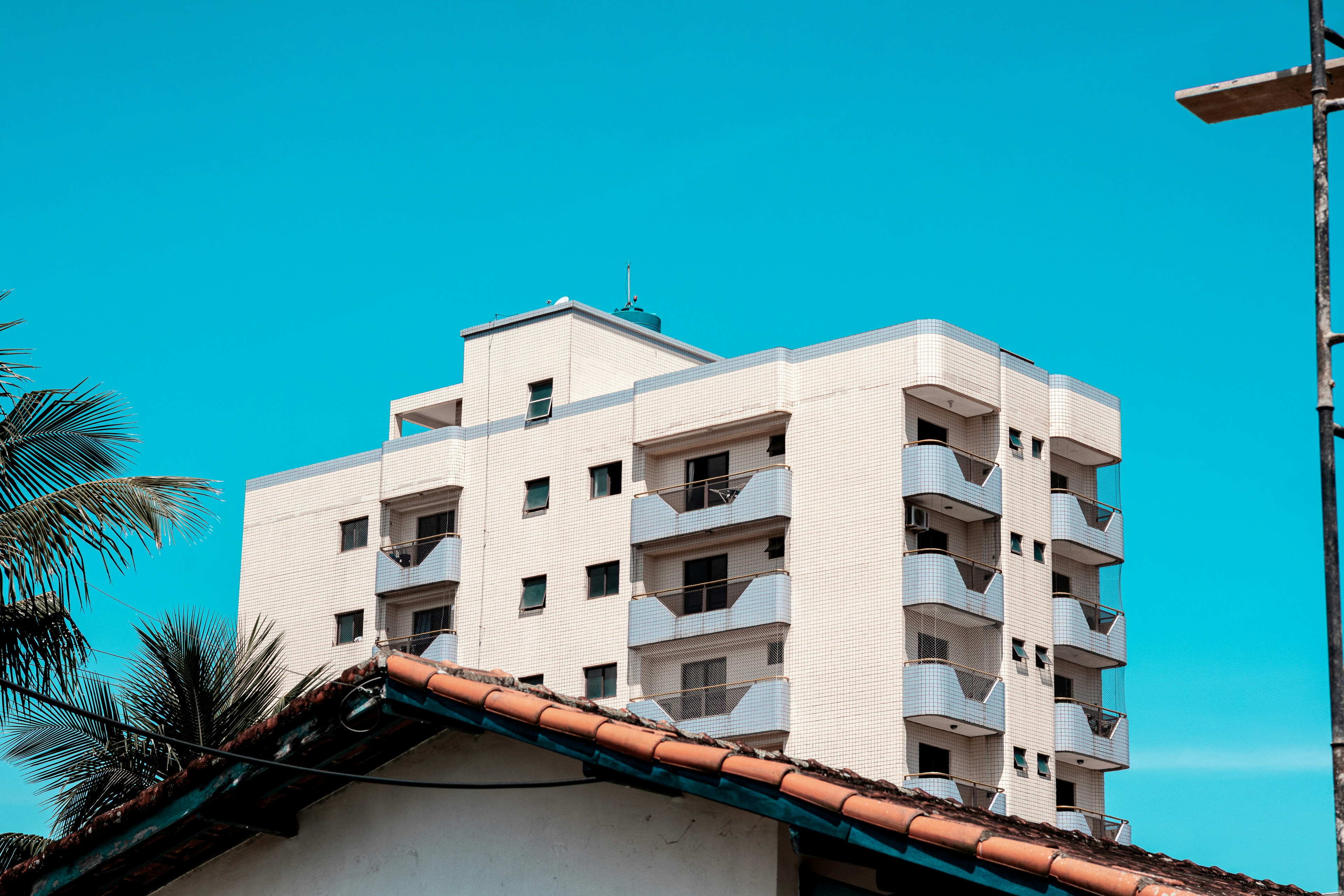 tropical wallpaper apartment, wallpaper, Tropical Apartment Colors: Schemes for Small Spaces 2