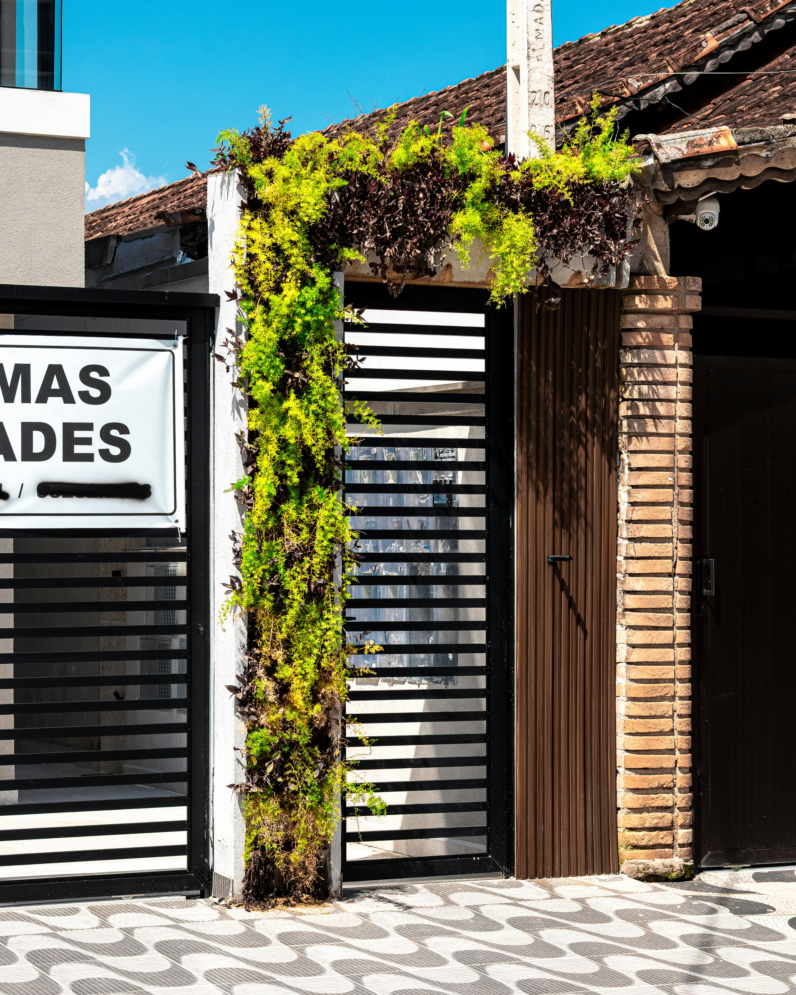 Green vines grow over a modern gate entrance.