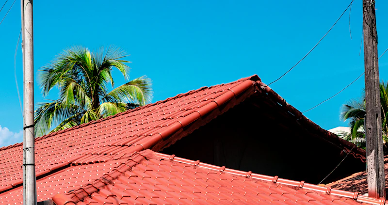 Roof Painting