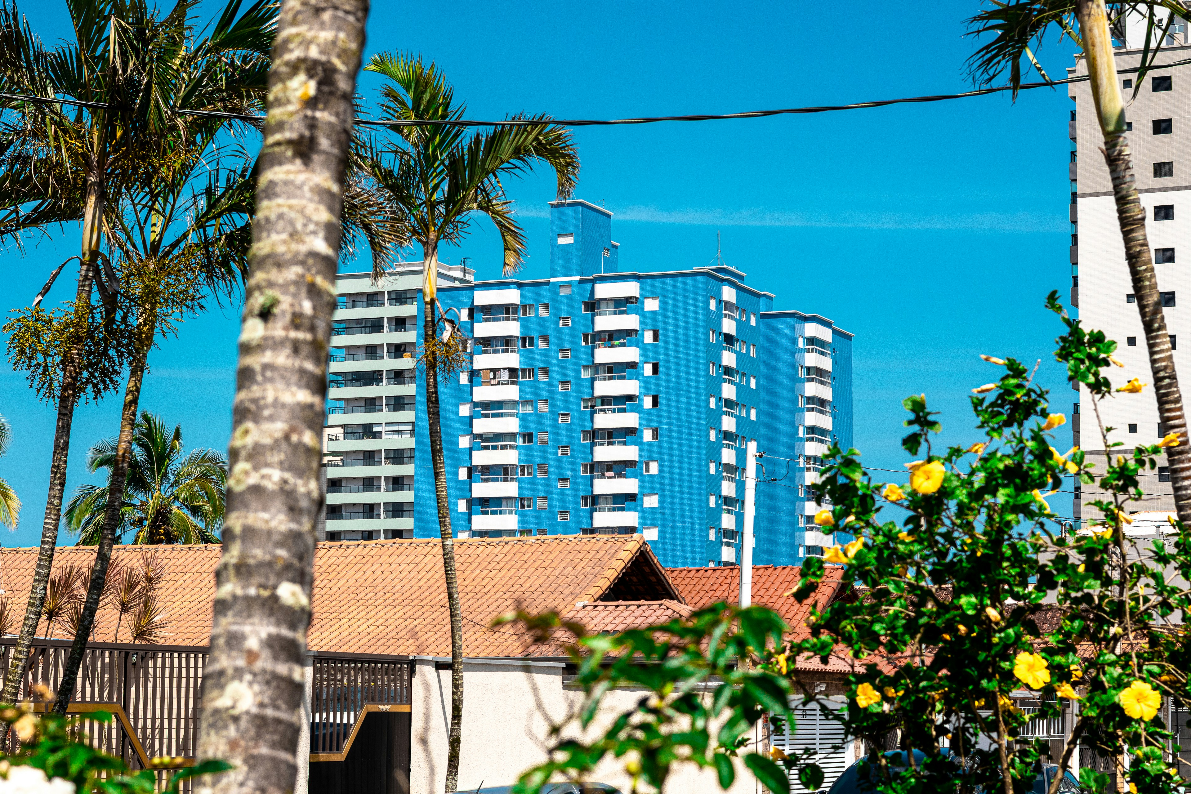 tropical wallpaper apartment, wallpaper, Tropical Apartment Colors: Schemes for Small Spaces 4