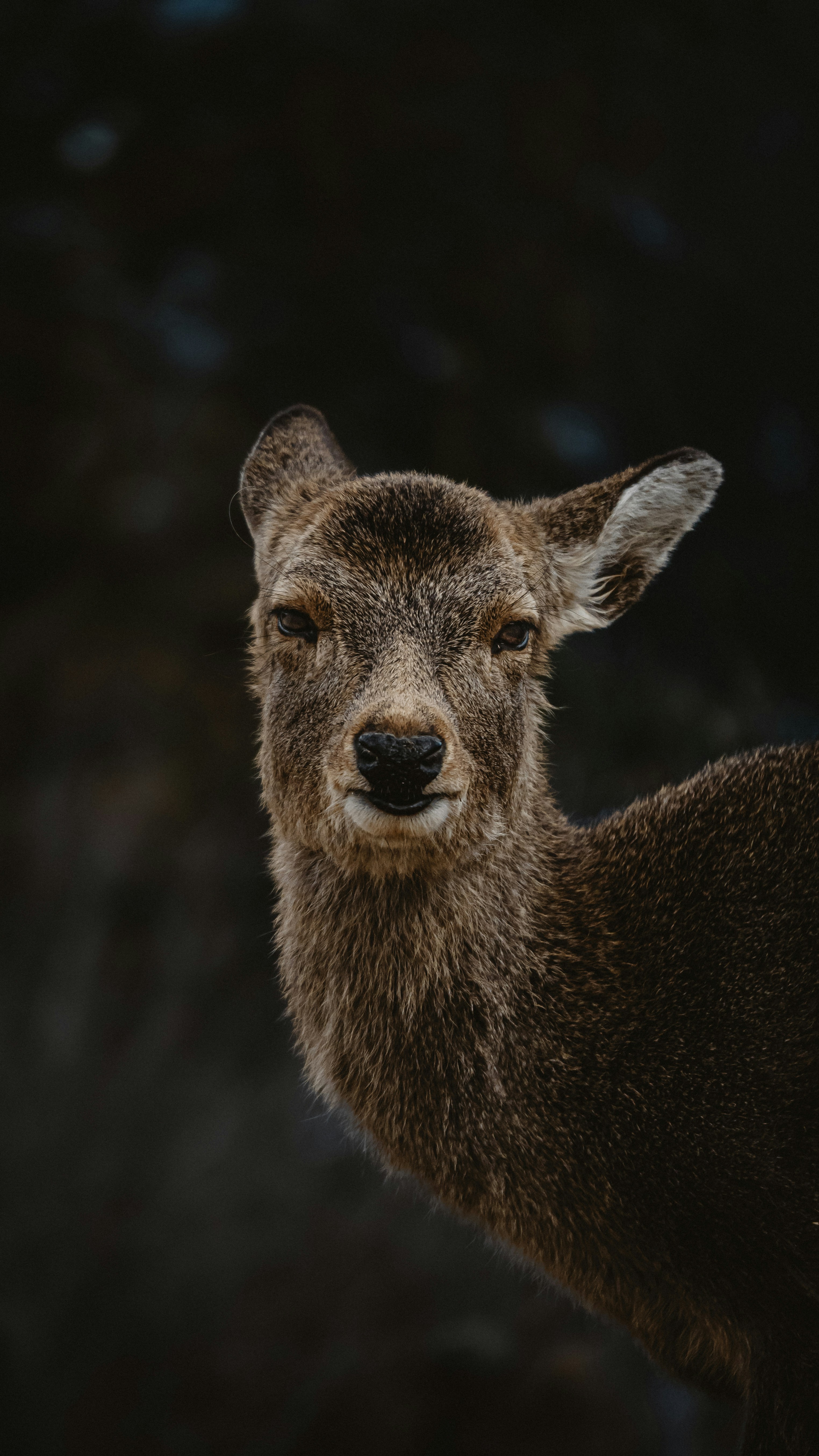 Photo by tkhao_khoang