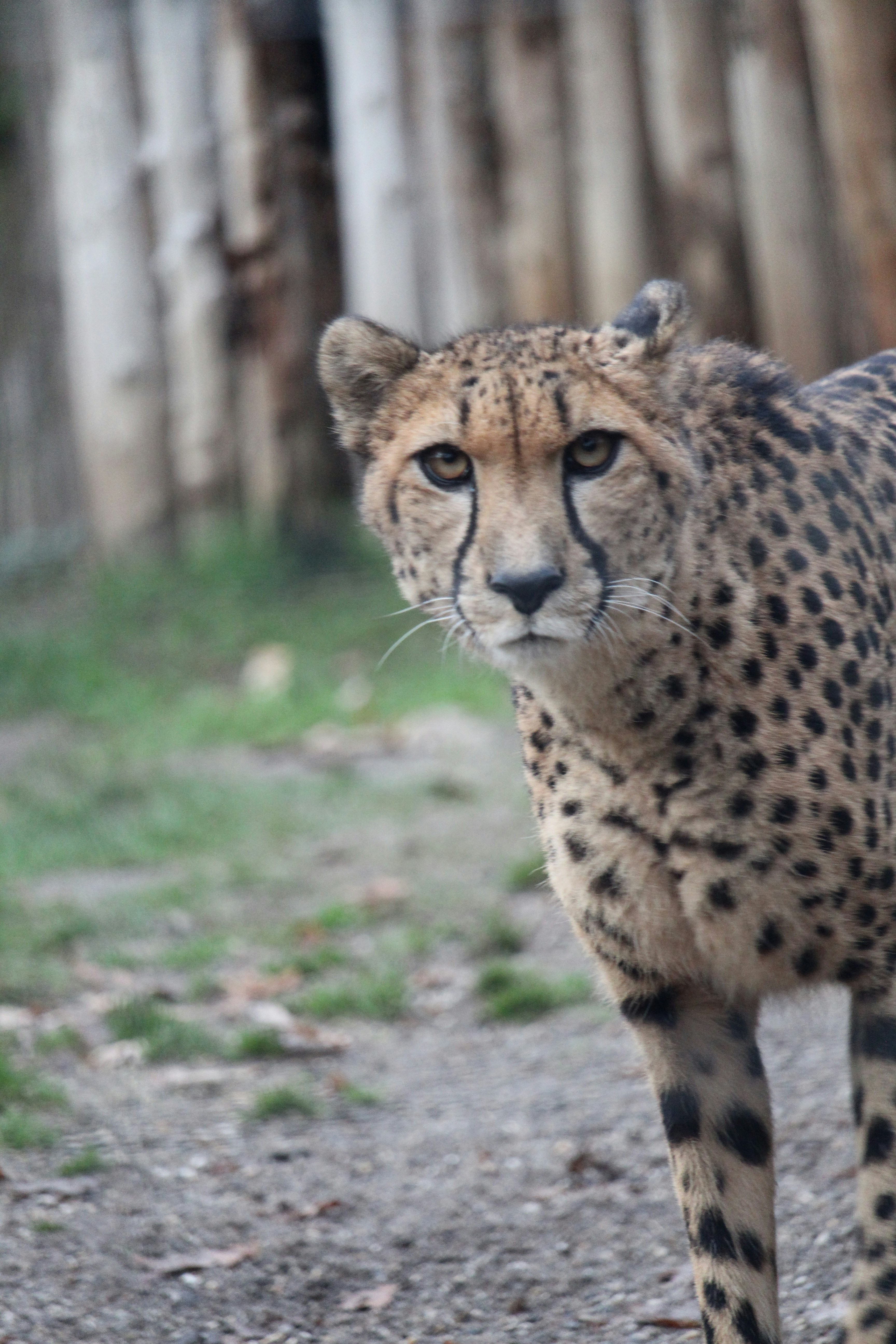 Photo by travel_with_yafee98