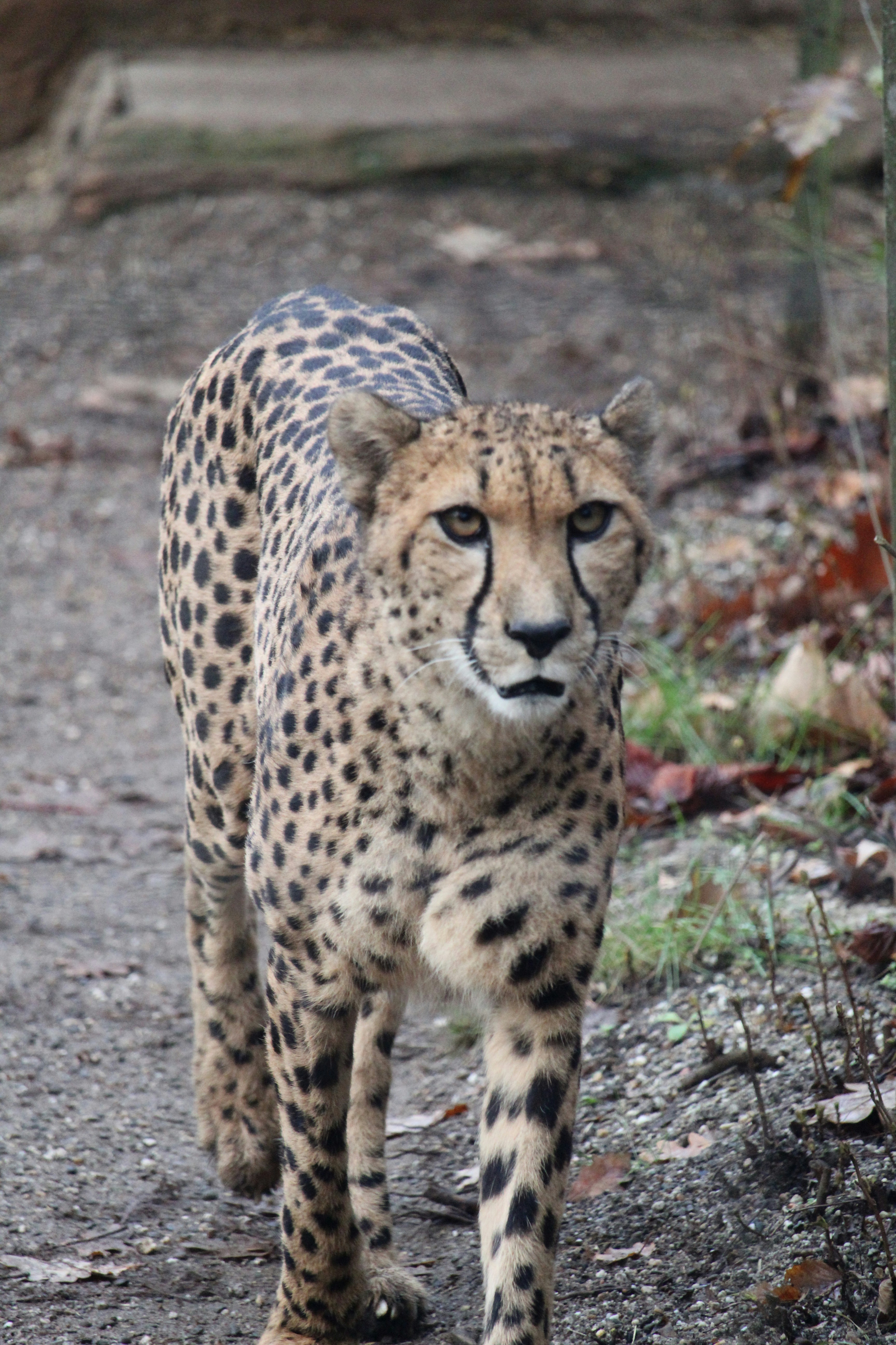 Photo by travel_with_yafee98