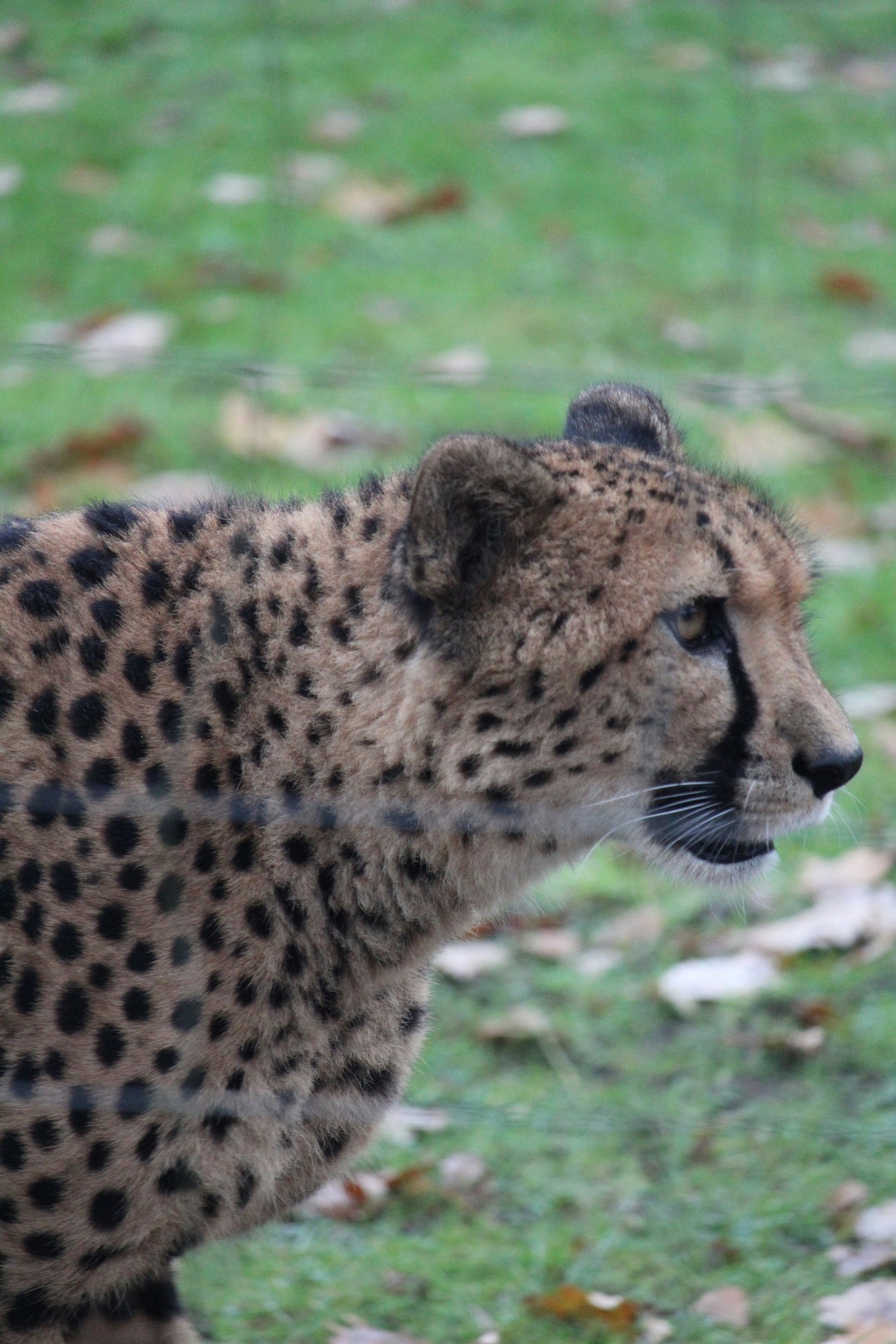 Photo by travel_with_yafee98