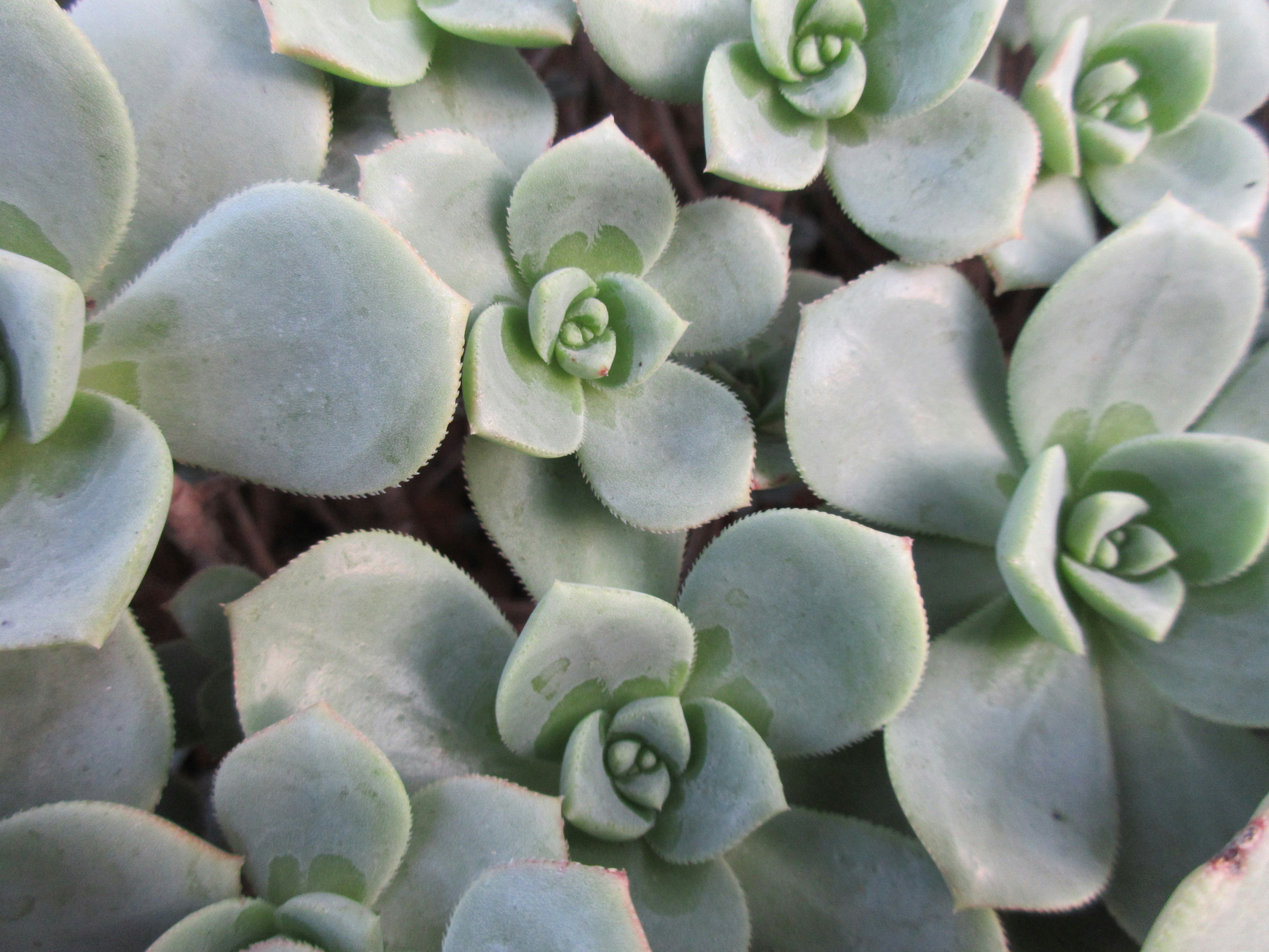 Photo by raynemadison