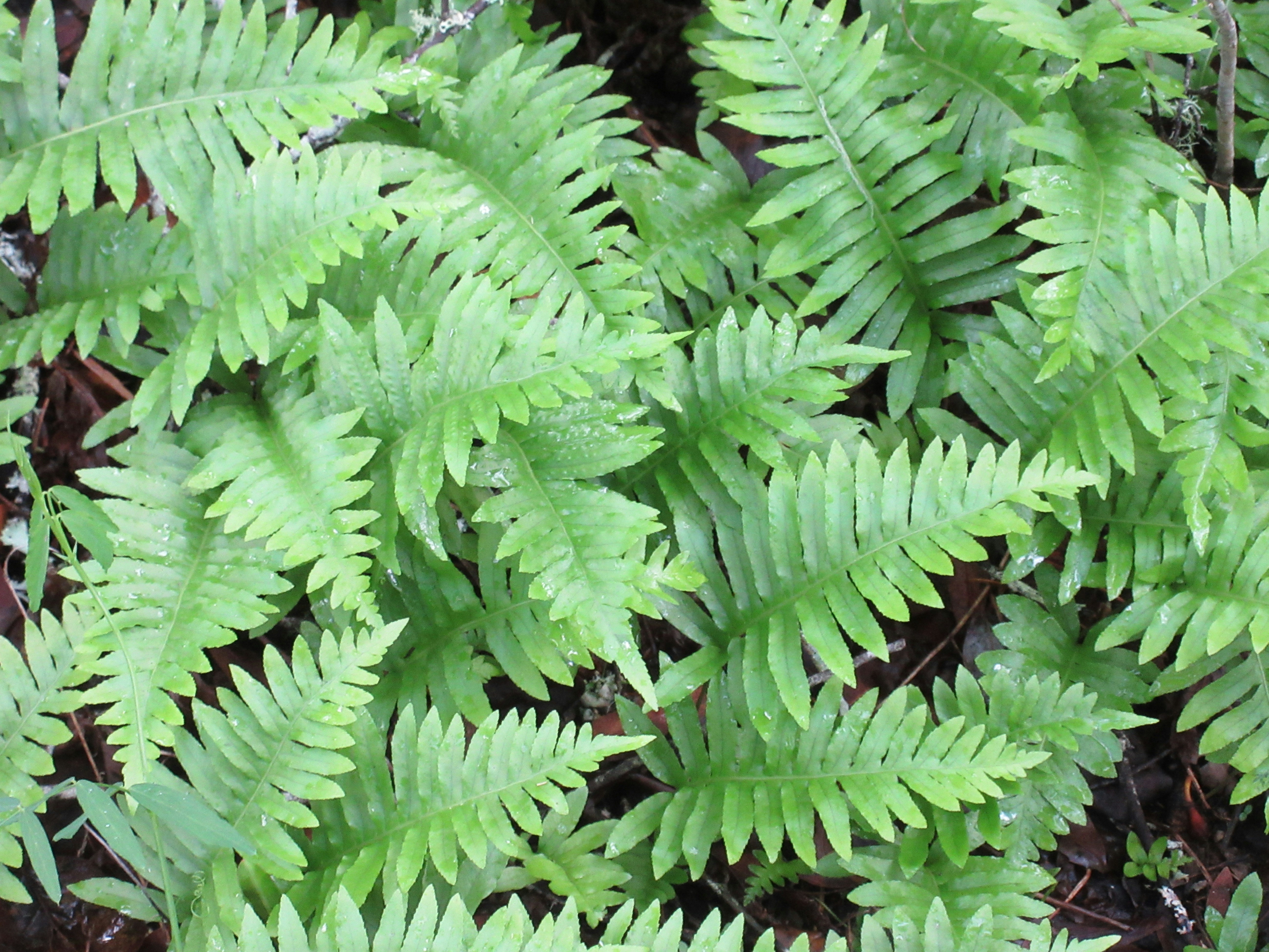 Photo by raynemadison