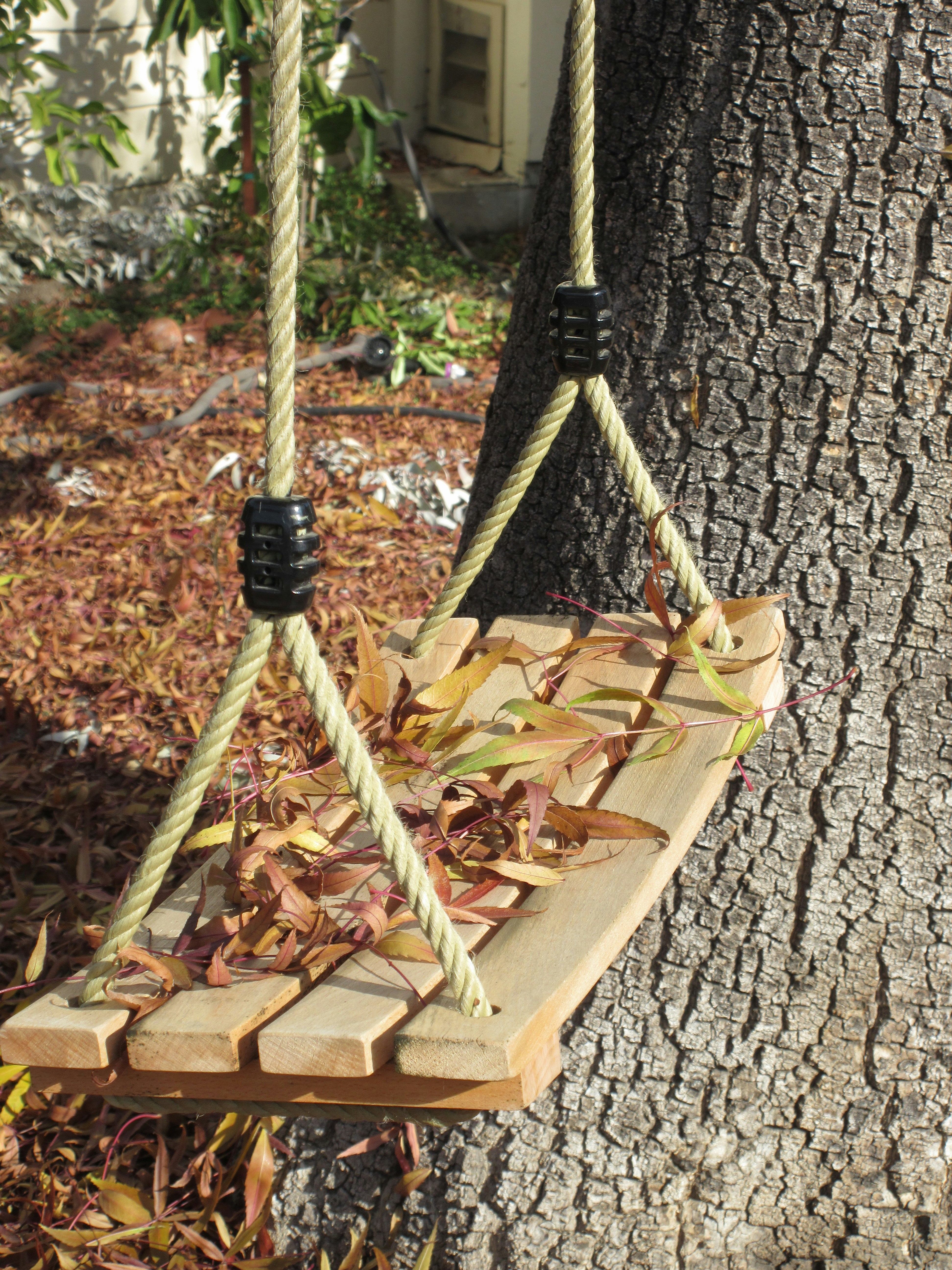 Wooden swing hanging from a tree with fallen leaves
