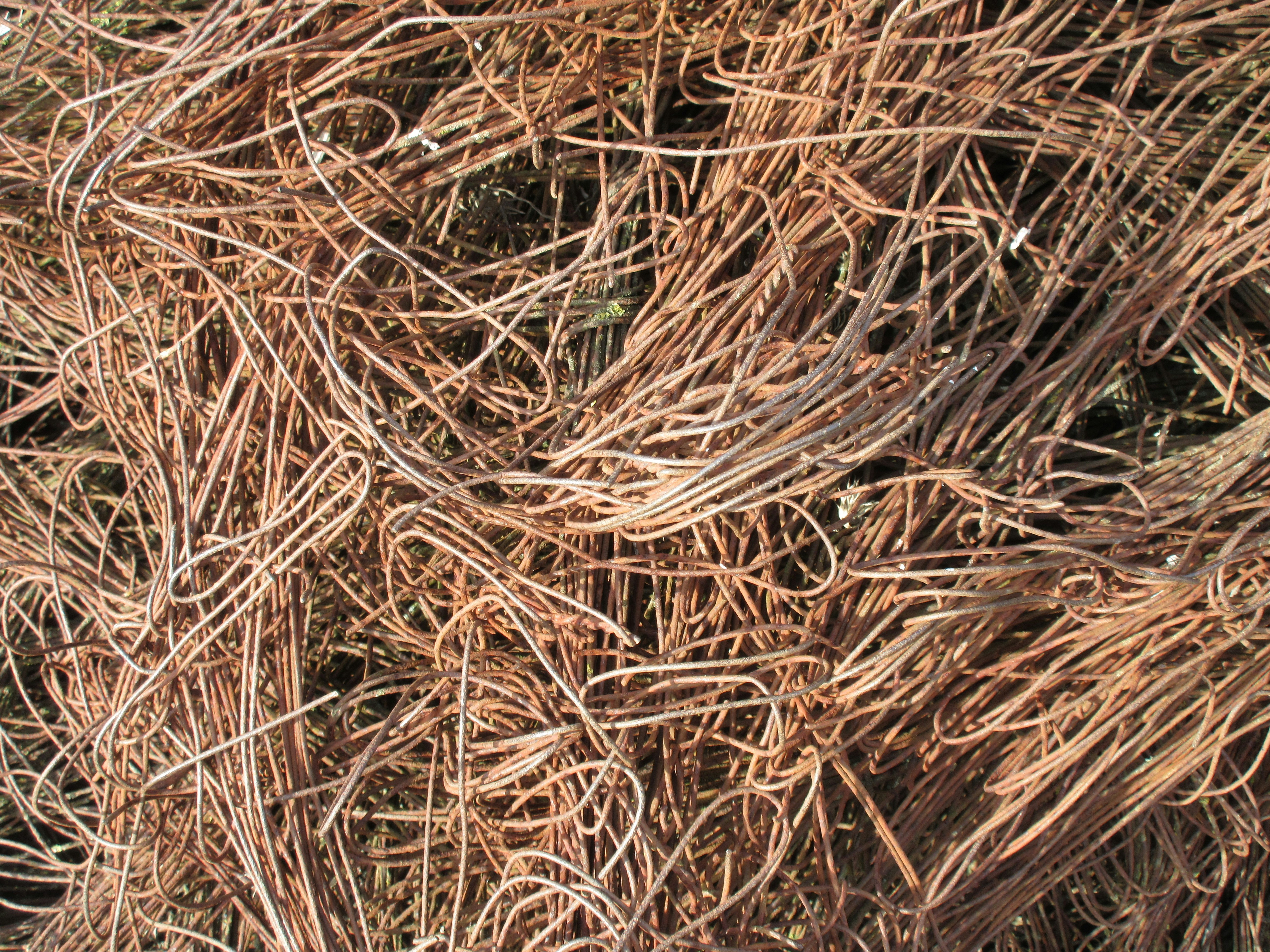 Photo by raynemadison