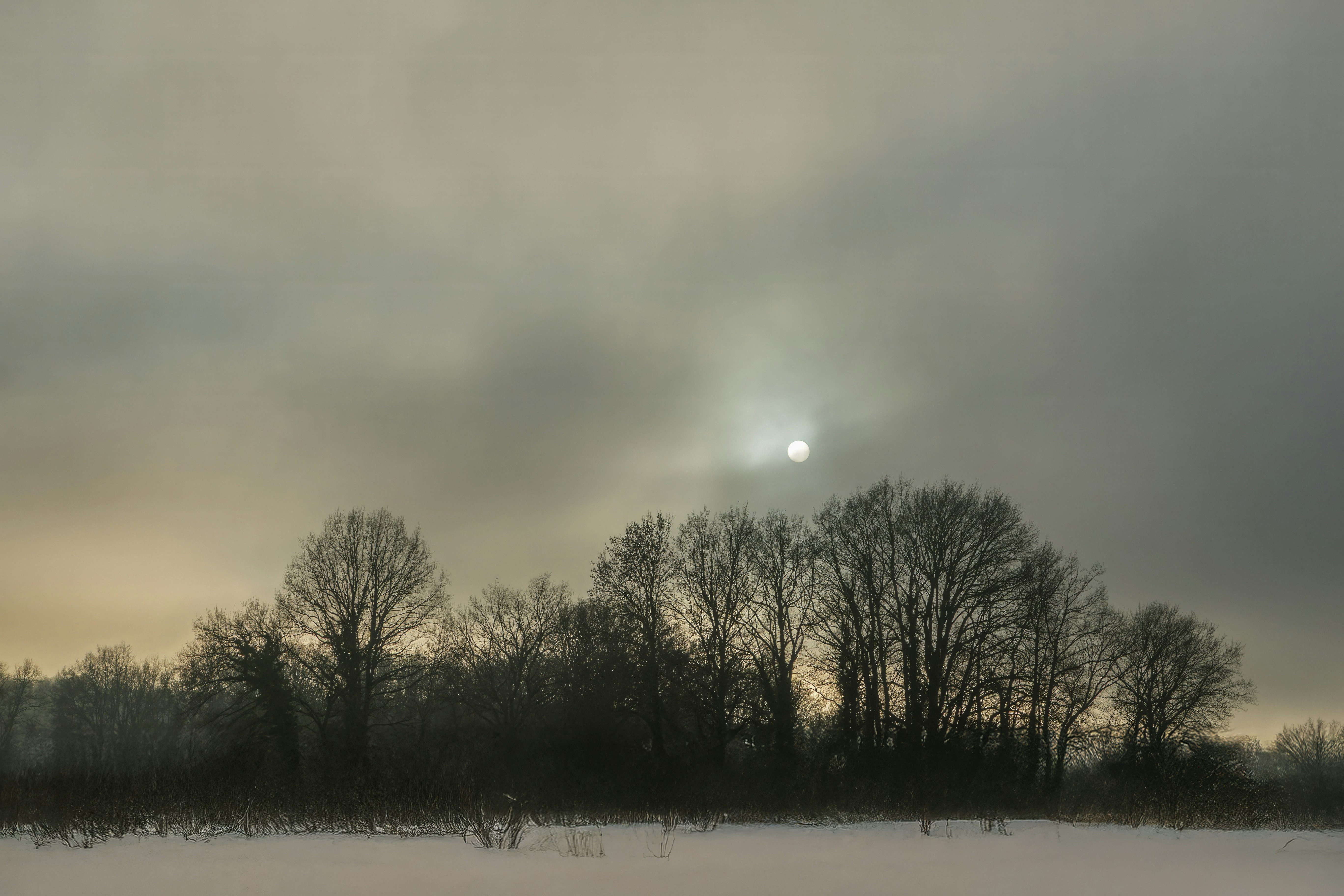 Bare trees silhouetted against a hazy, overcast sky.