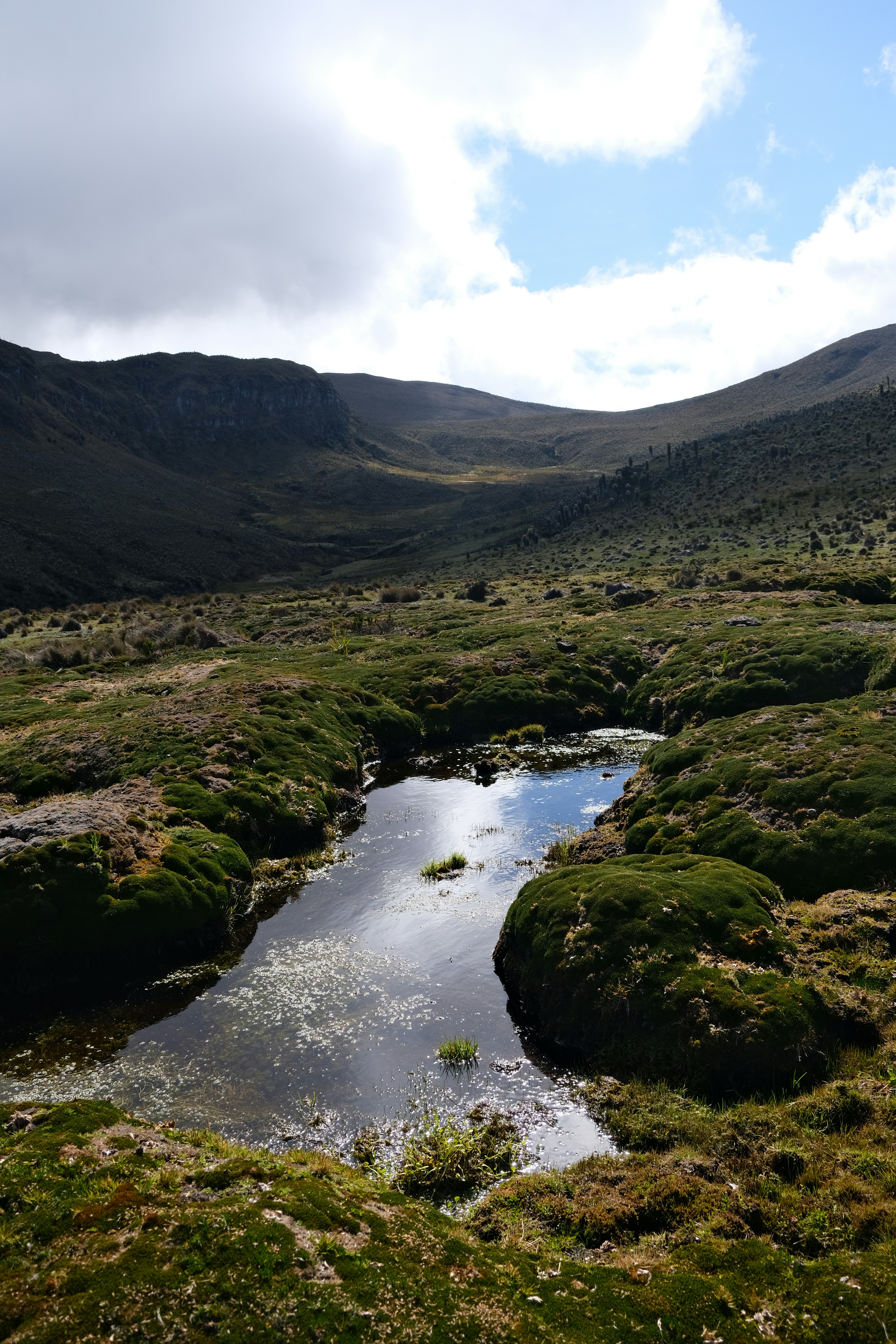 Photo by ingeborgkorme