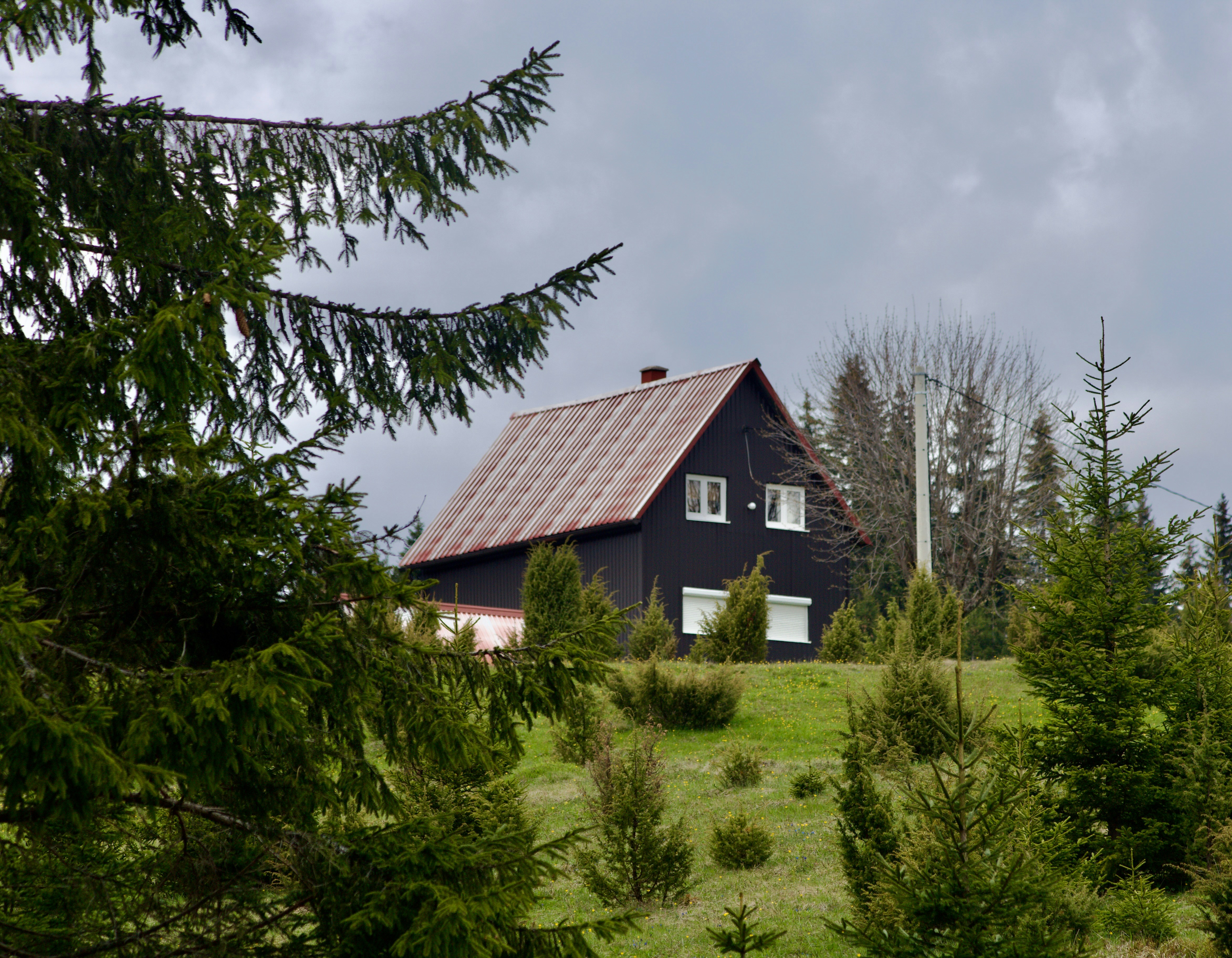 Cozy cabin with hot tub on wooden deck overlooking fjord at sunset with warm ambient lighting