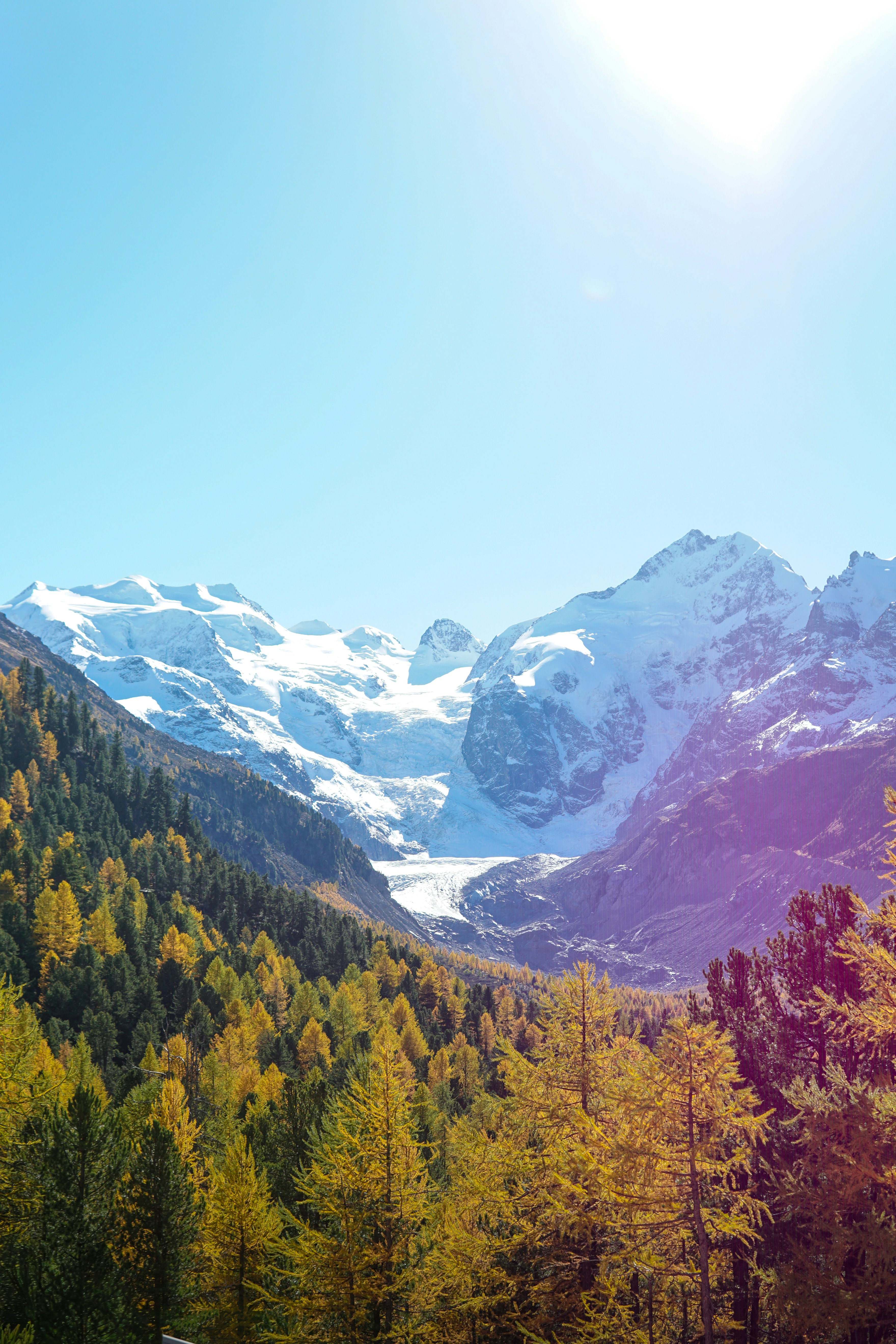 Snowy mountains above autumn forest under clear sky