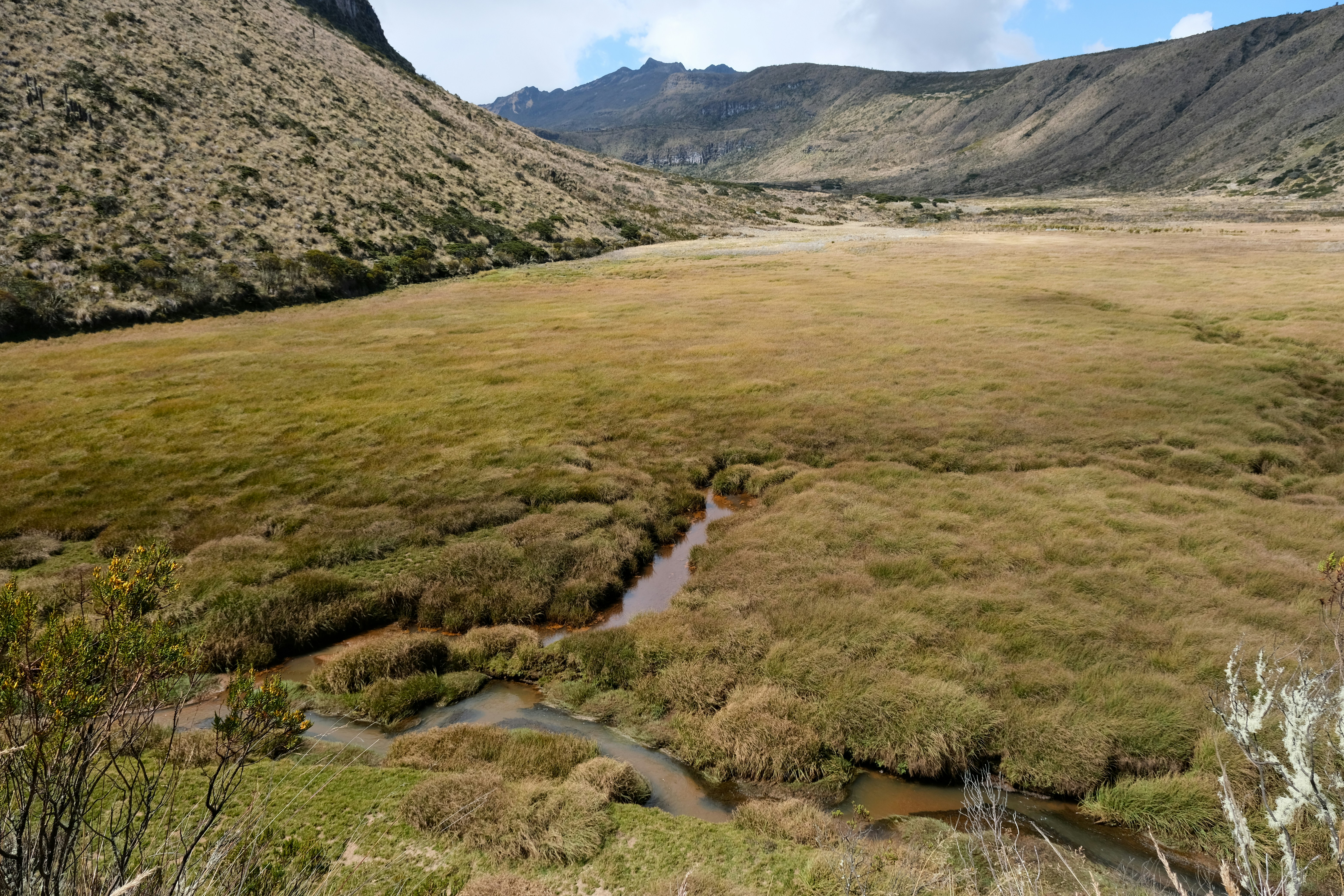 Photo by ingeborgkorme