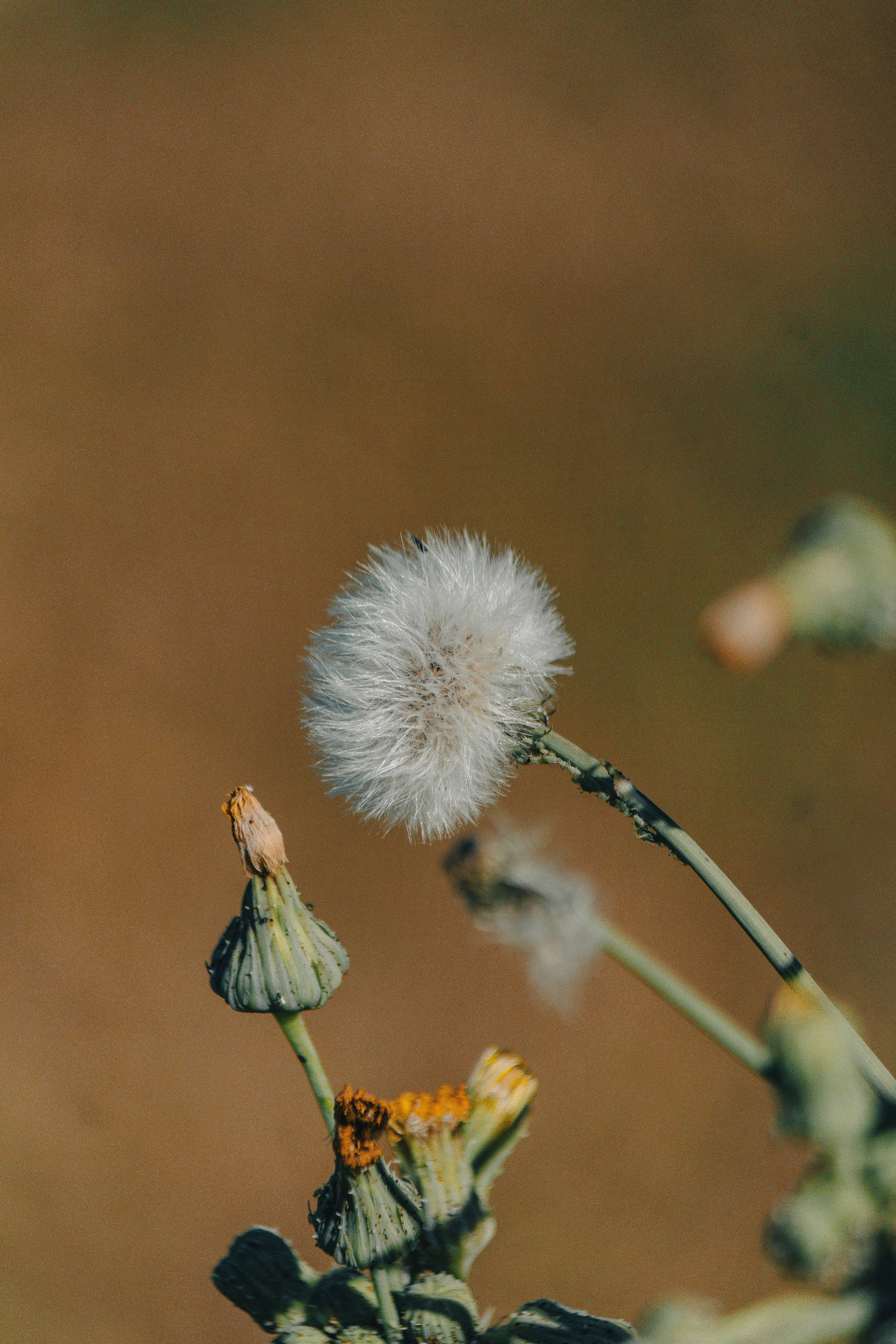 Photo by oilbird_productions