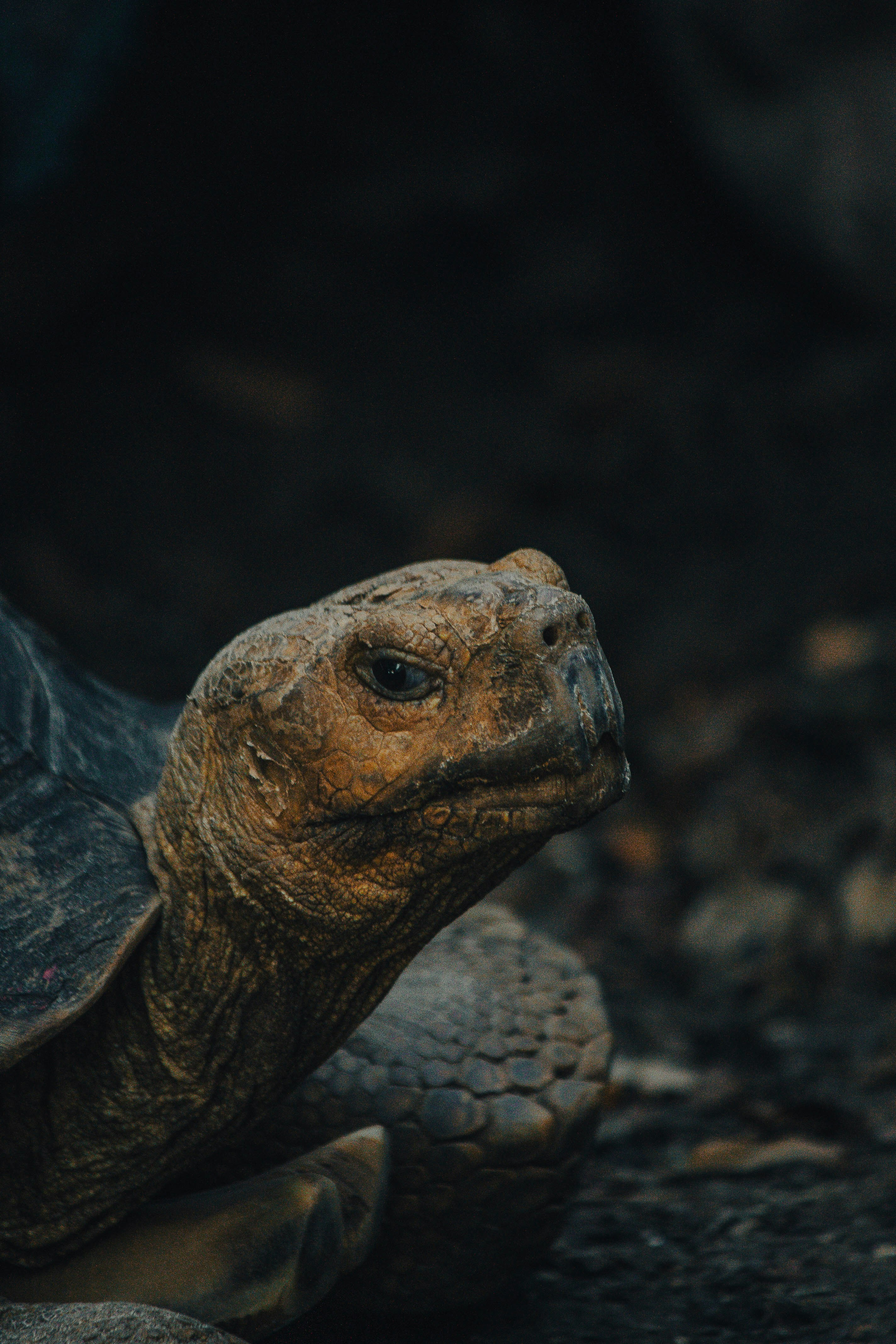 Photo by oilbird_productions