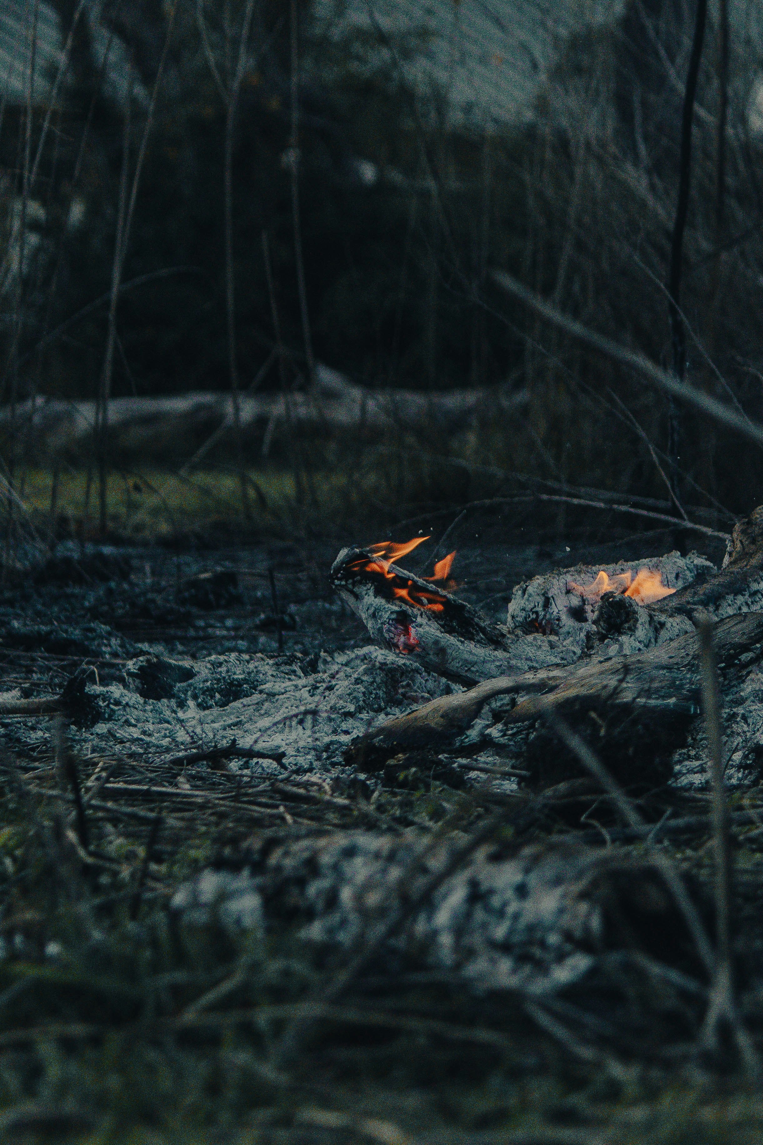 Photo by oilbird_productions