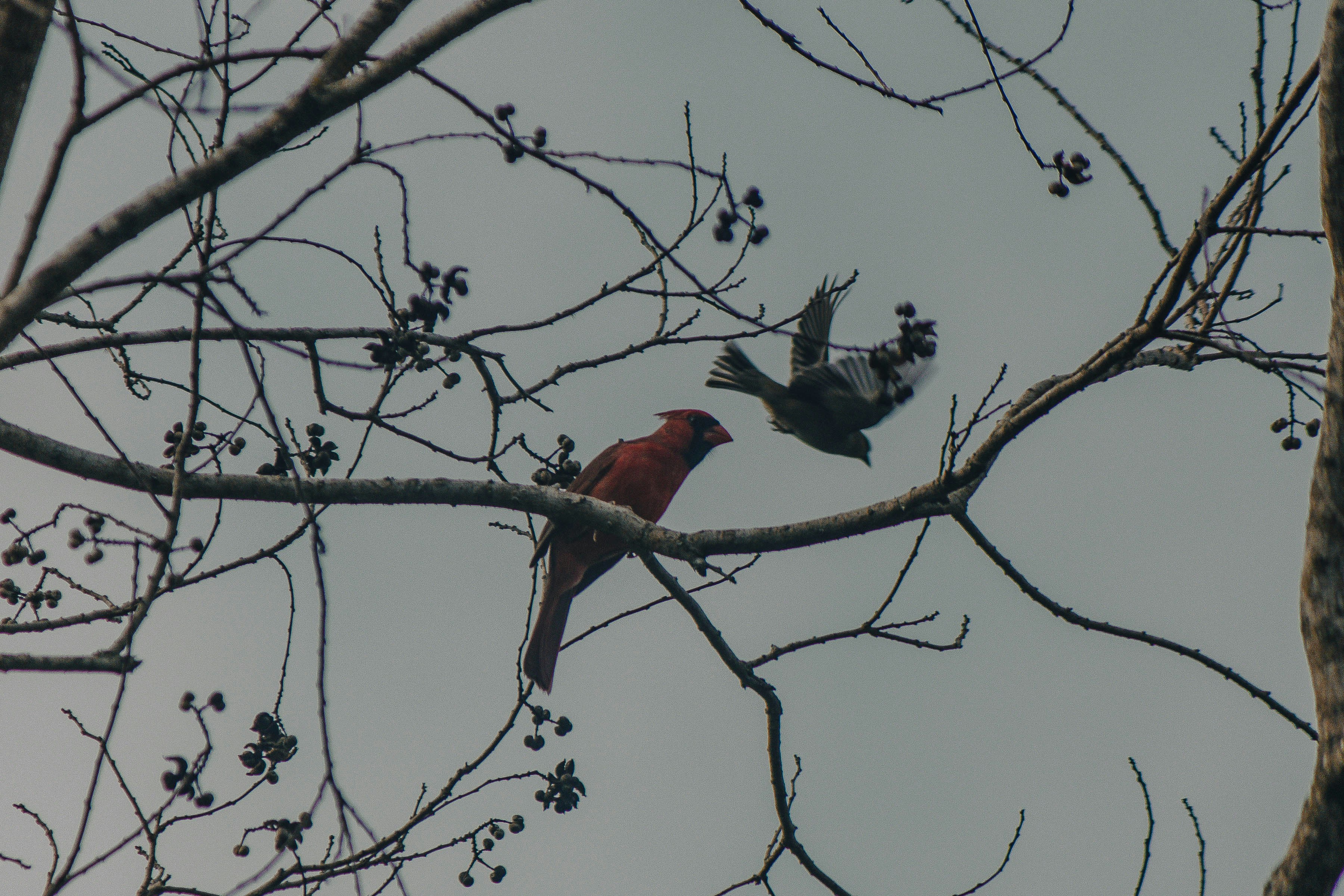 Photo by oilbird_productions