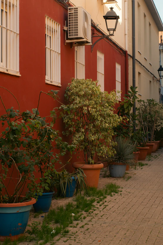Potted plants line a red wall on a cobblestone path.