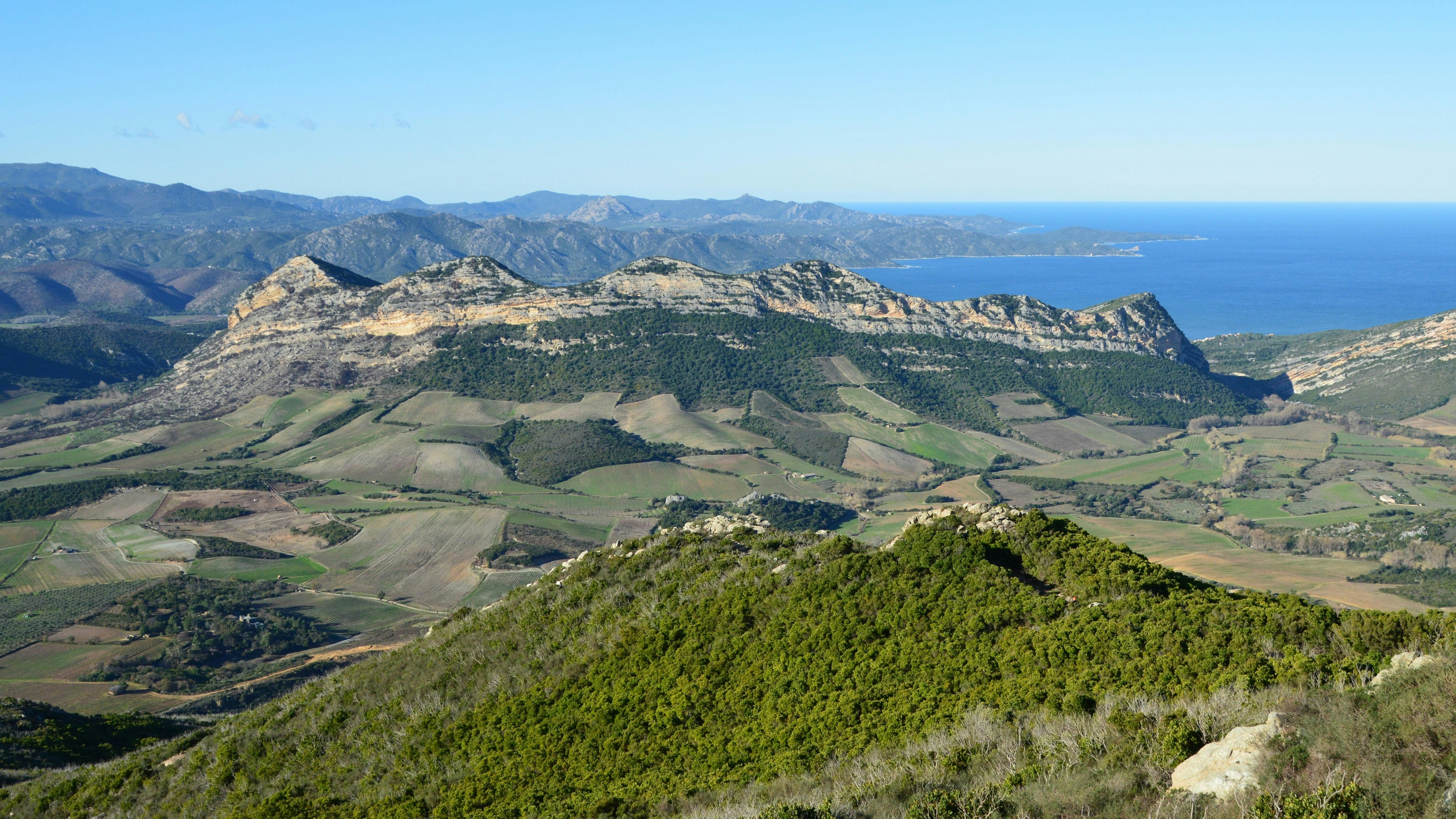 Vignoble de Corse