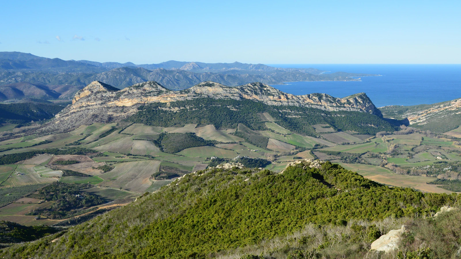 Vignoble — Corse
