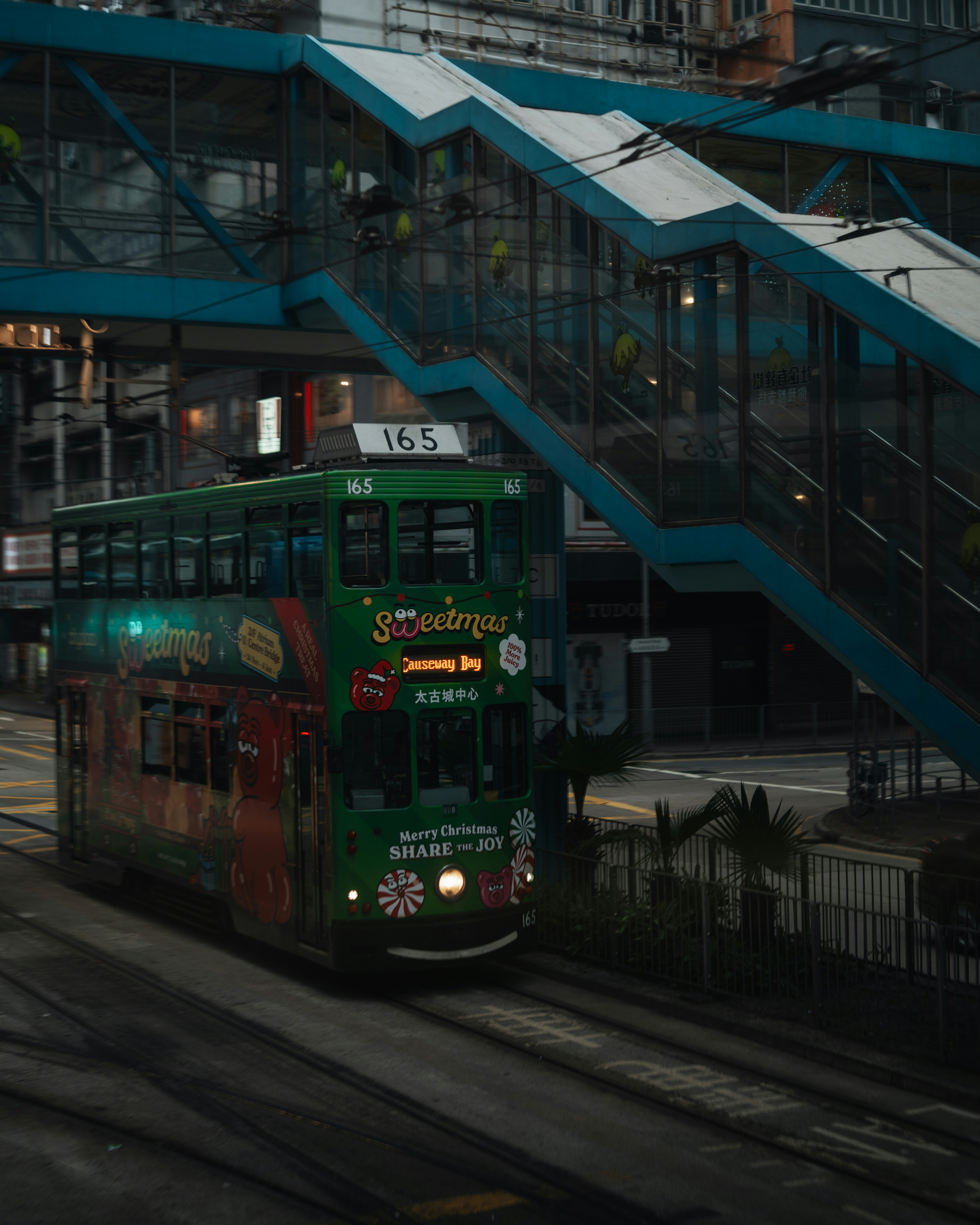 Street Food Paradise and Local Dining Culture