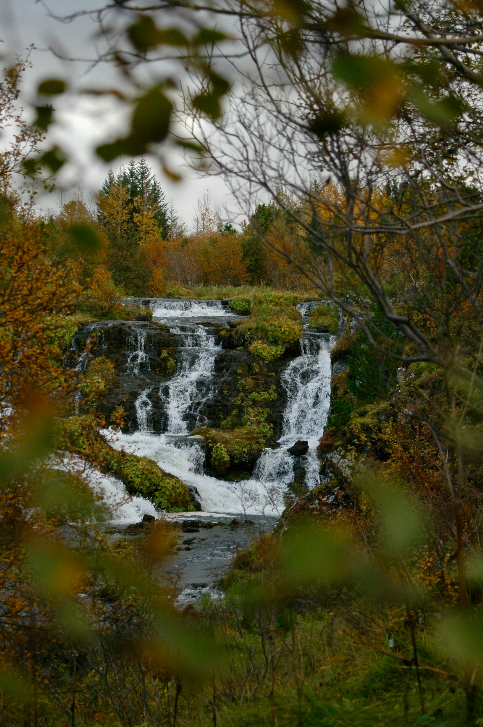 A cascading waterfall surrounded by autumn foliage