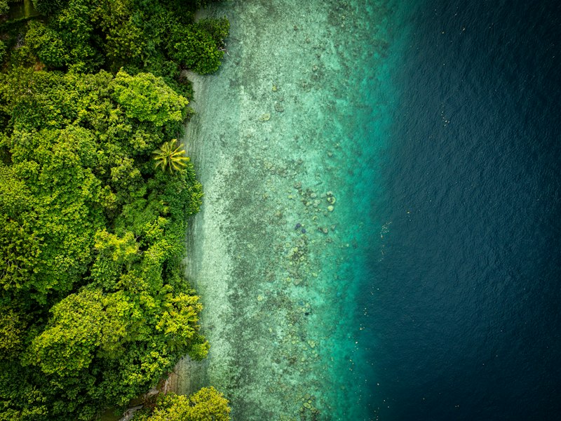 Aerial view of Espiritu Santo coastline – lush jungle meets turquoise reef, Vanuatu