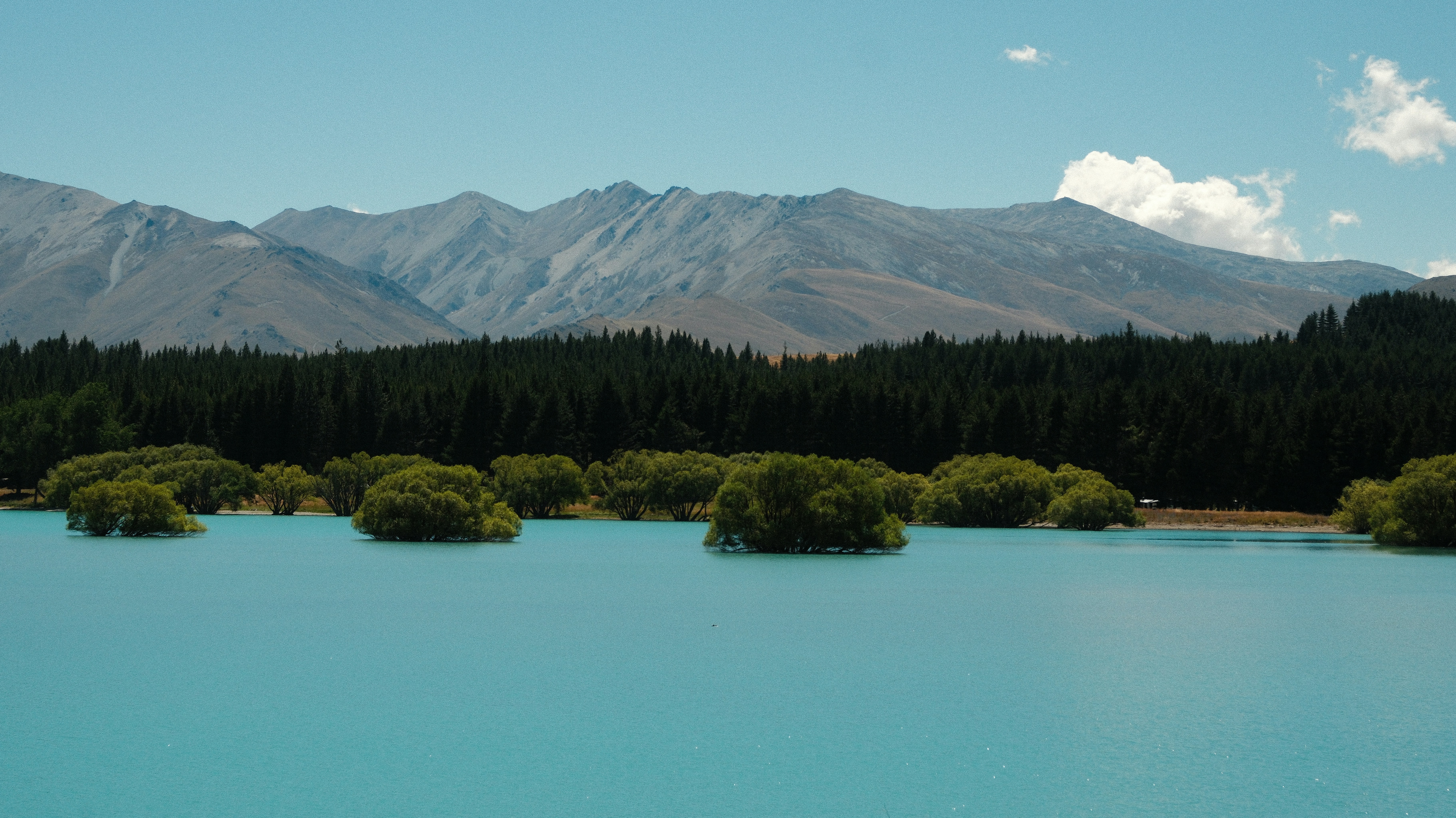 Photo by ginkgoshutter