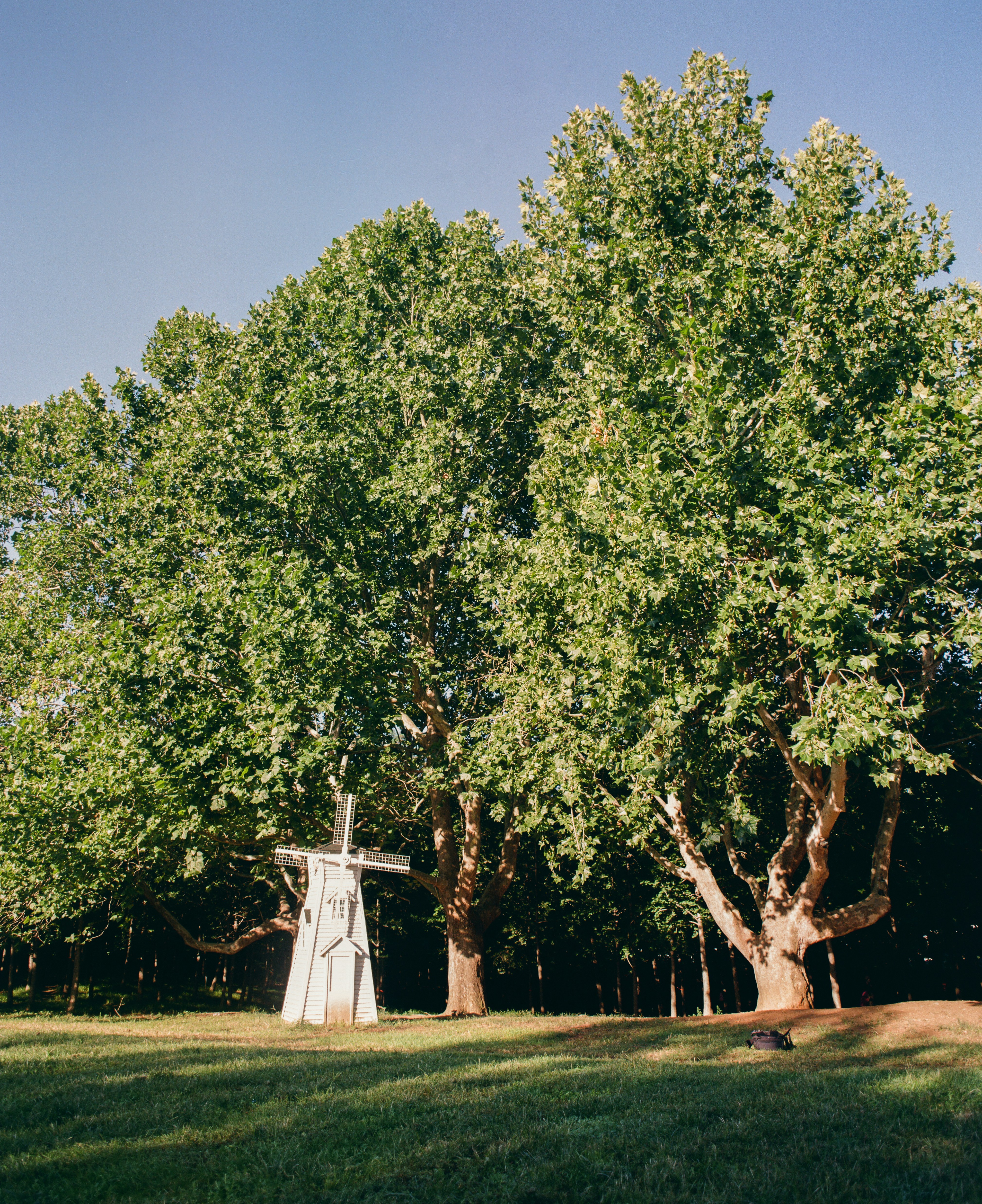 White windmill nestled among large green trees