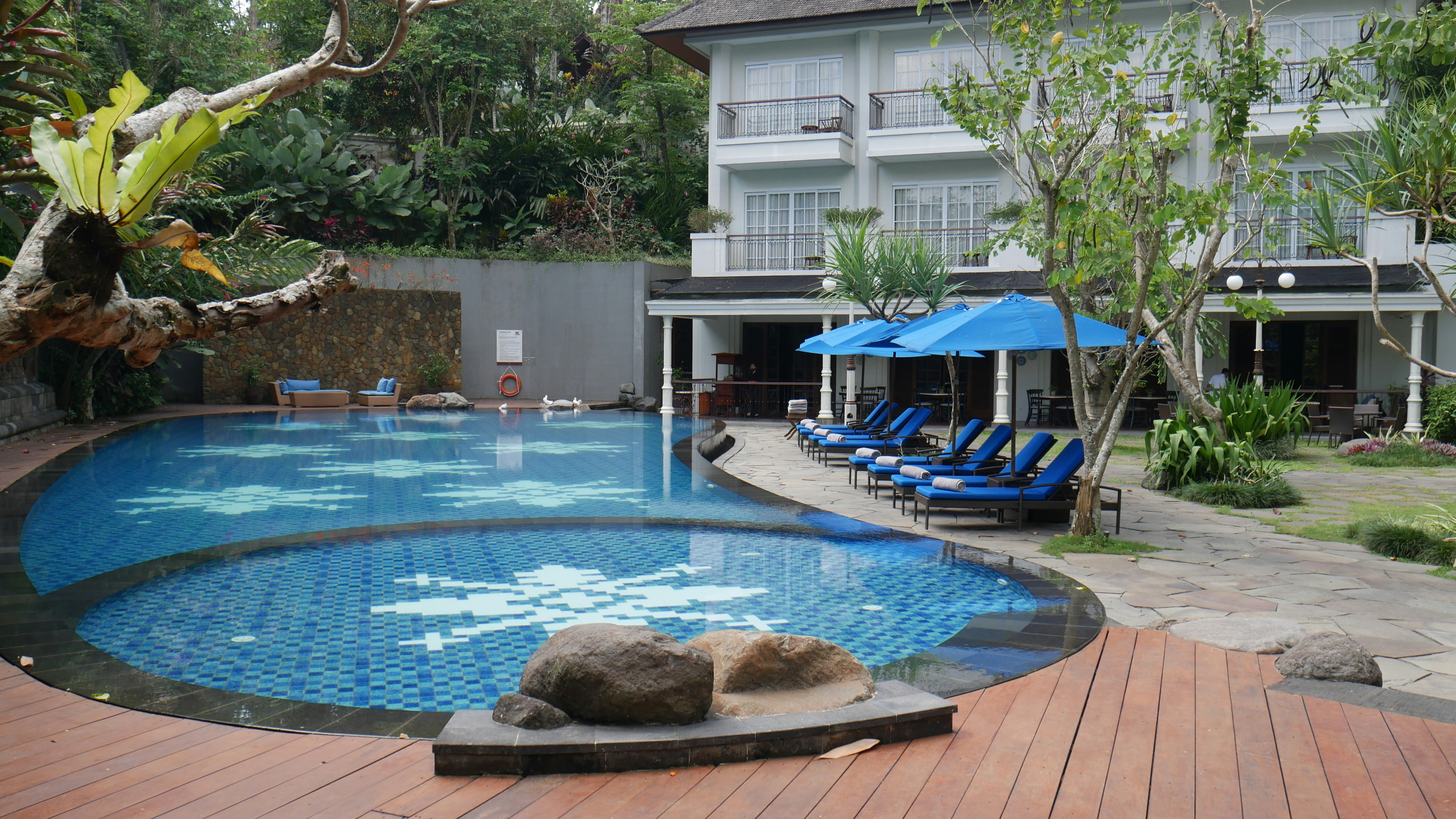 Photo by brandonprajogo