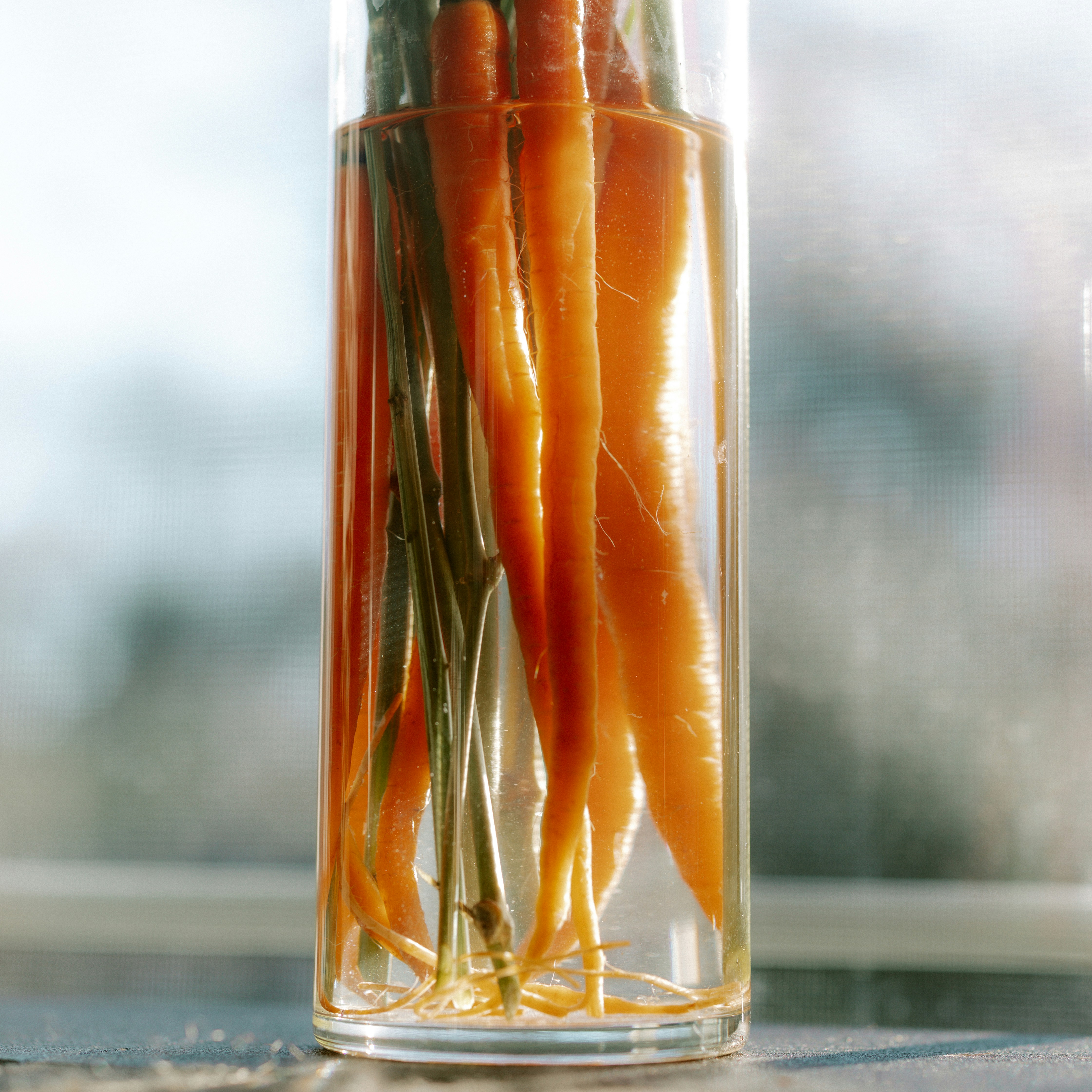 Fresh carrots submerged in clear liquid in a glass.