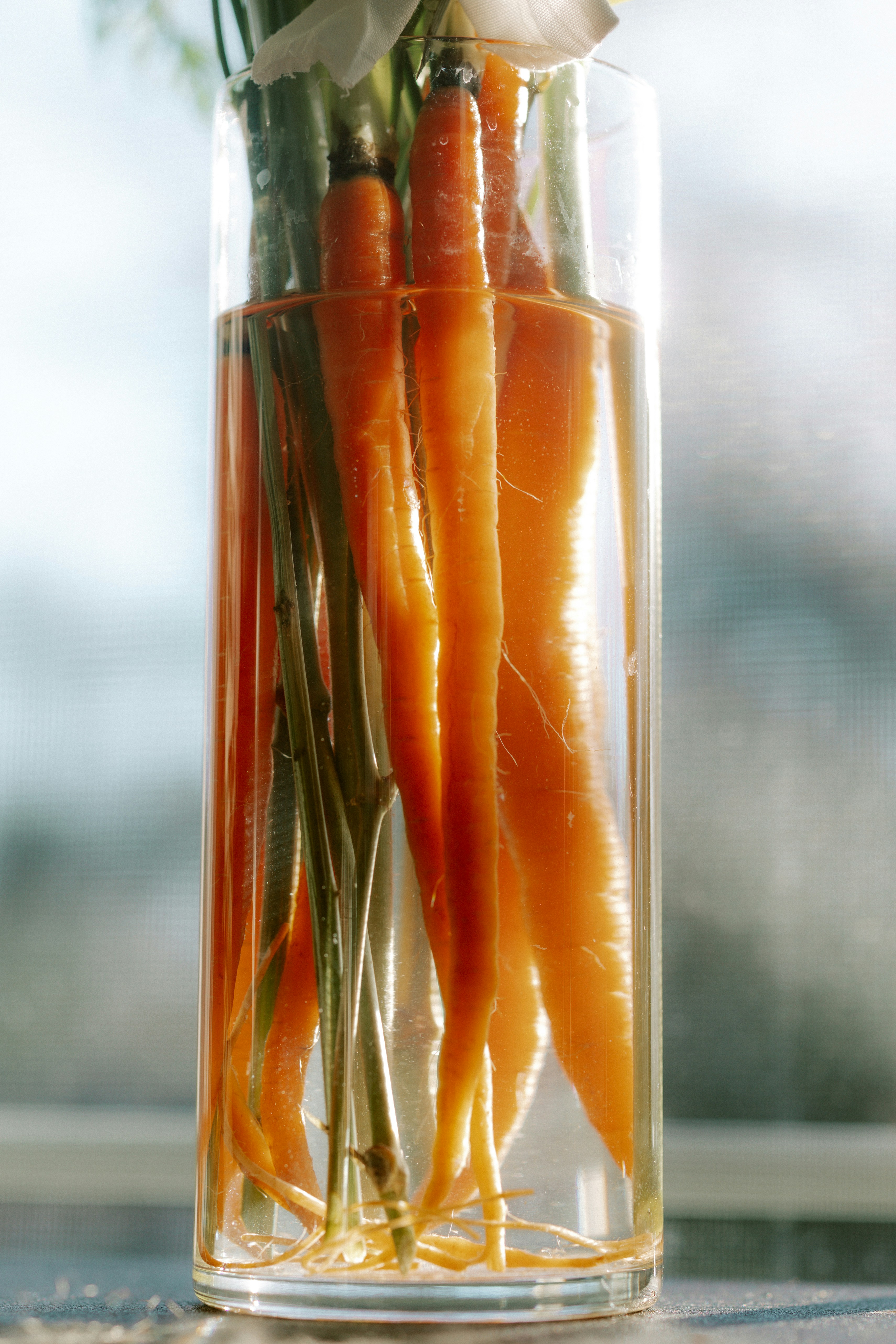 Carrots with green tops in a glass vase.