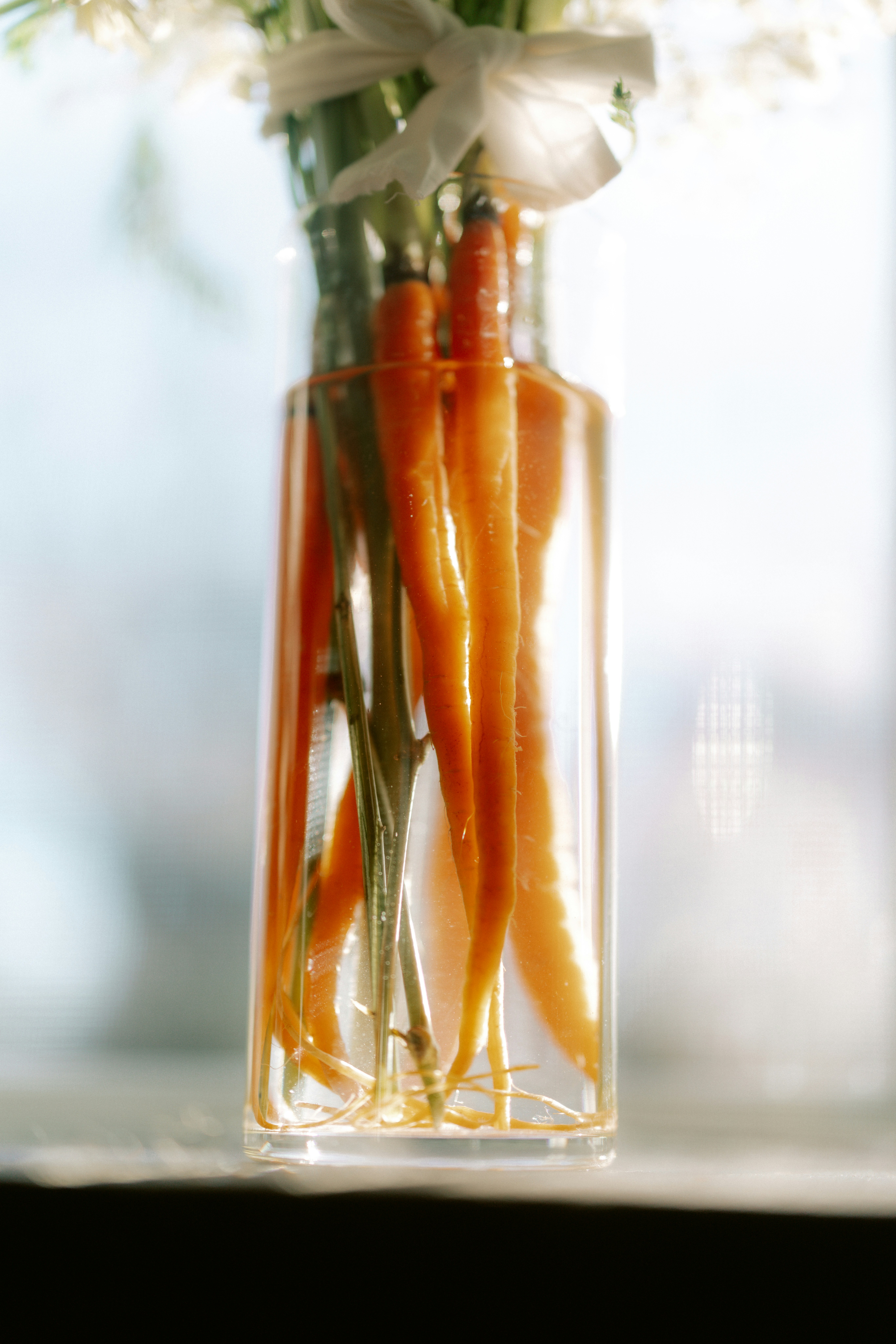 Photo by brookebalentine