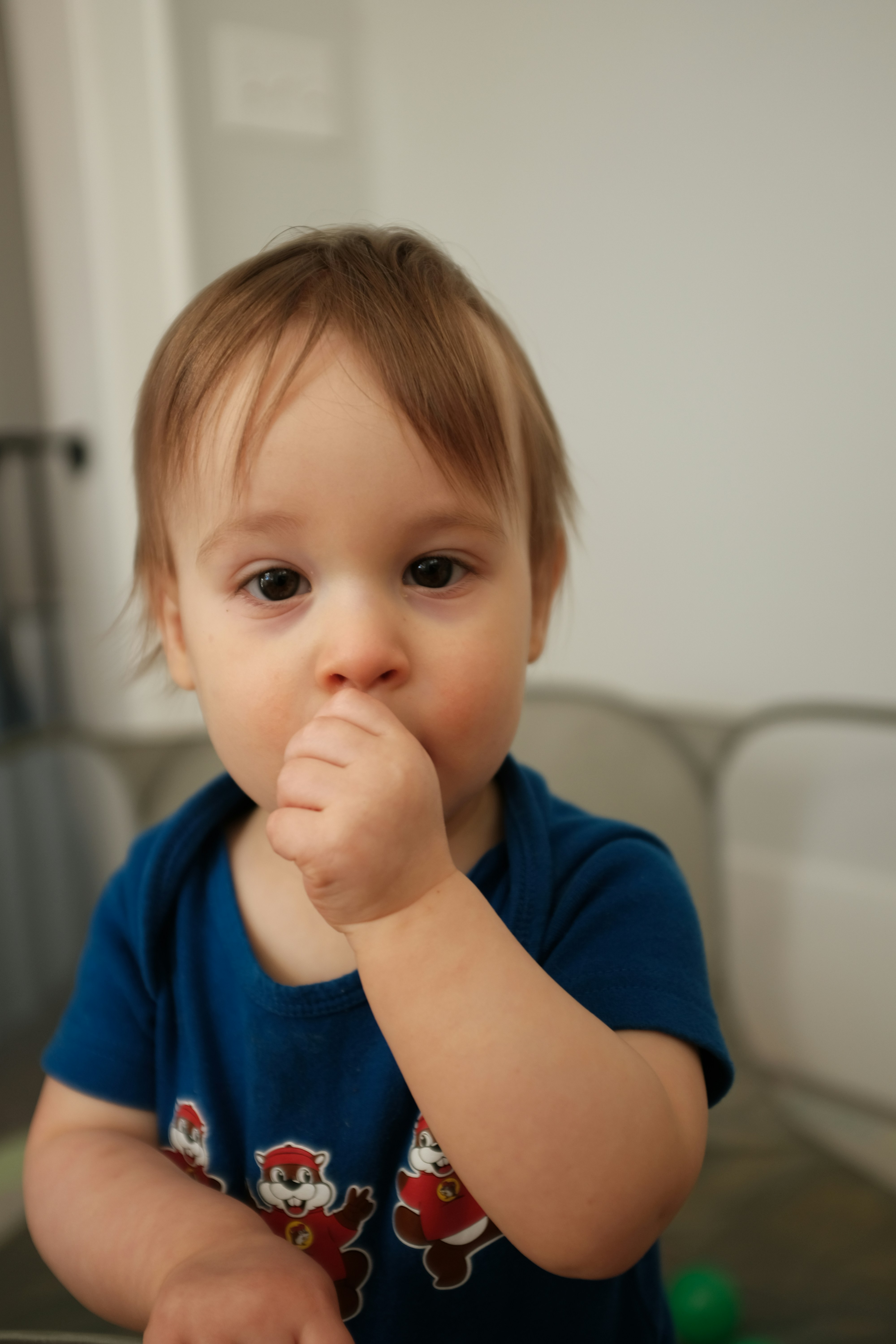 A baby with brown hair puts thumb in mouth