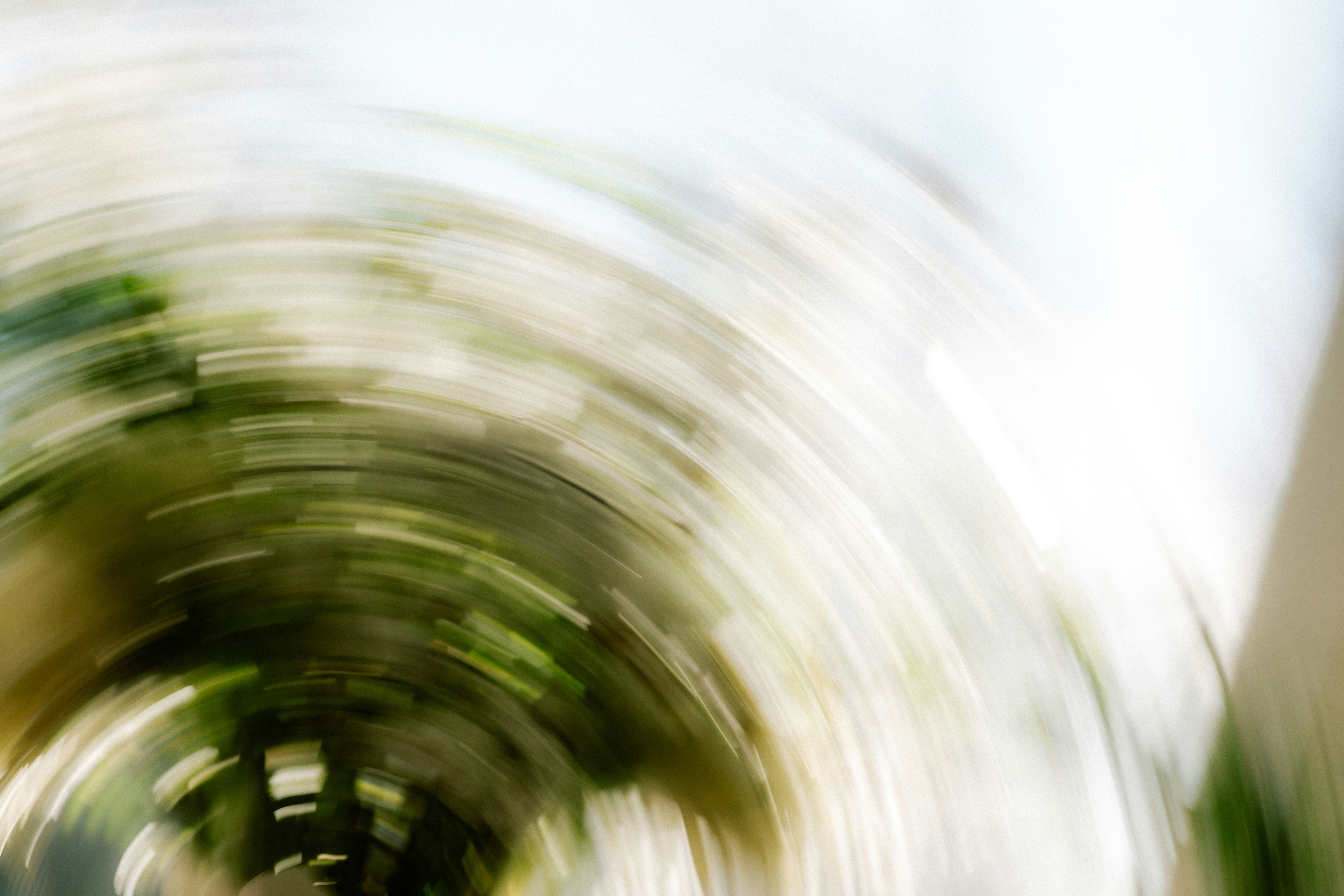 Photo by brookebalentine