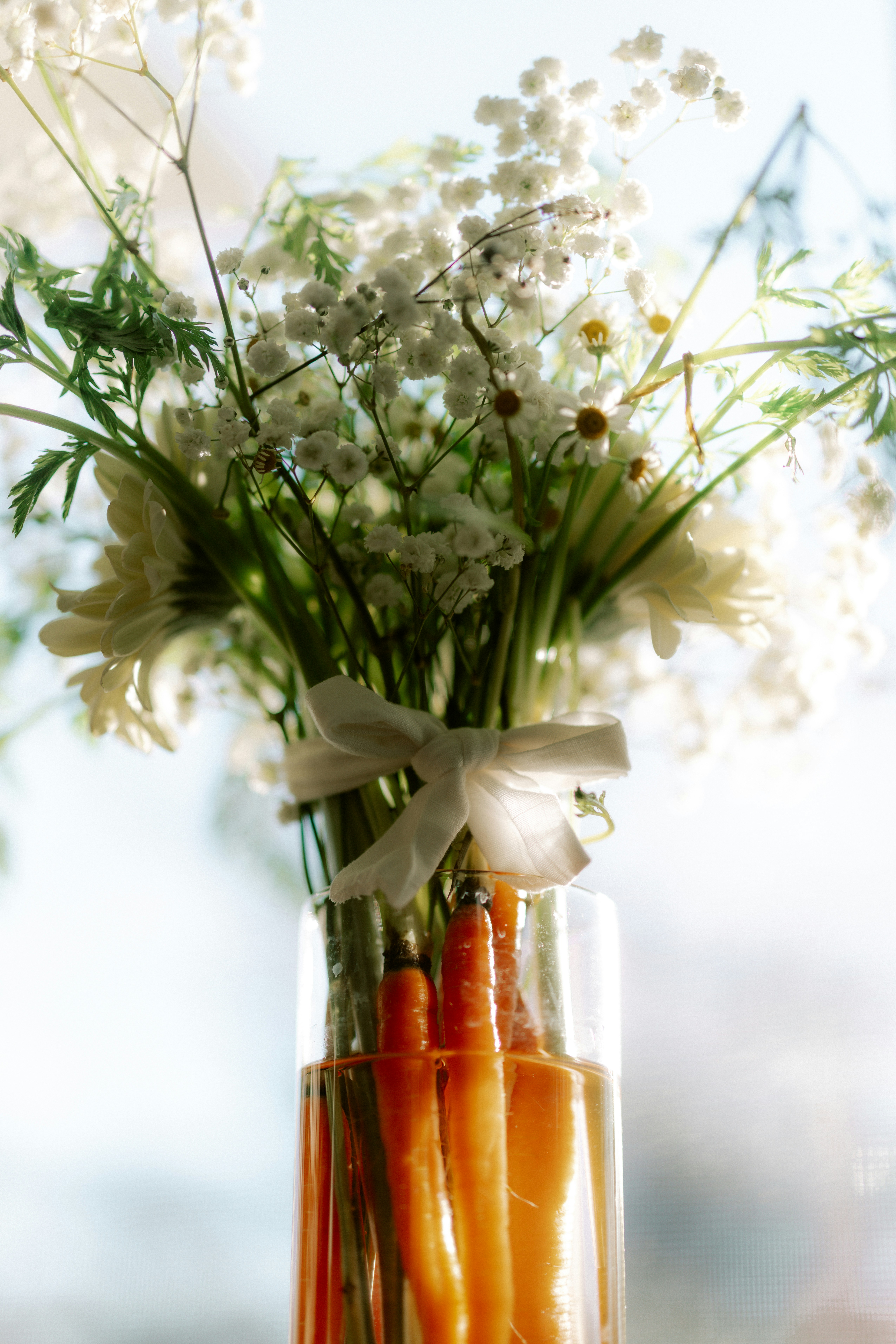 Carrots and white flowers in a vase.