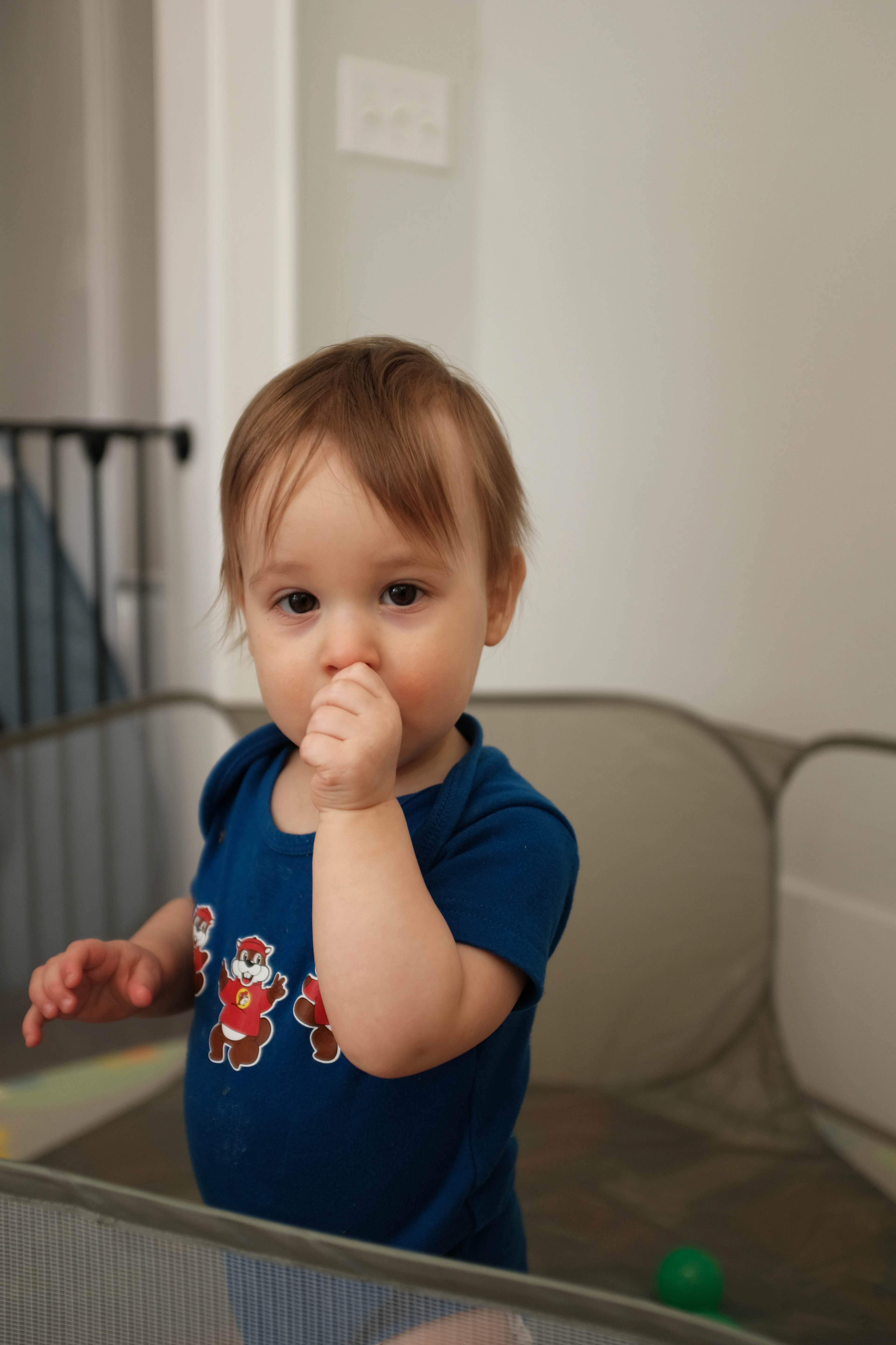 Baby standing safely in a playpen at home