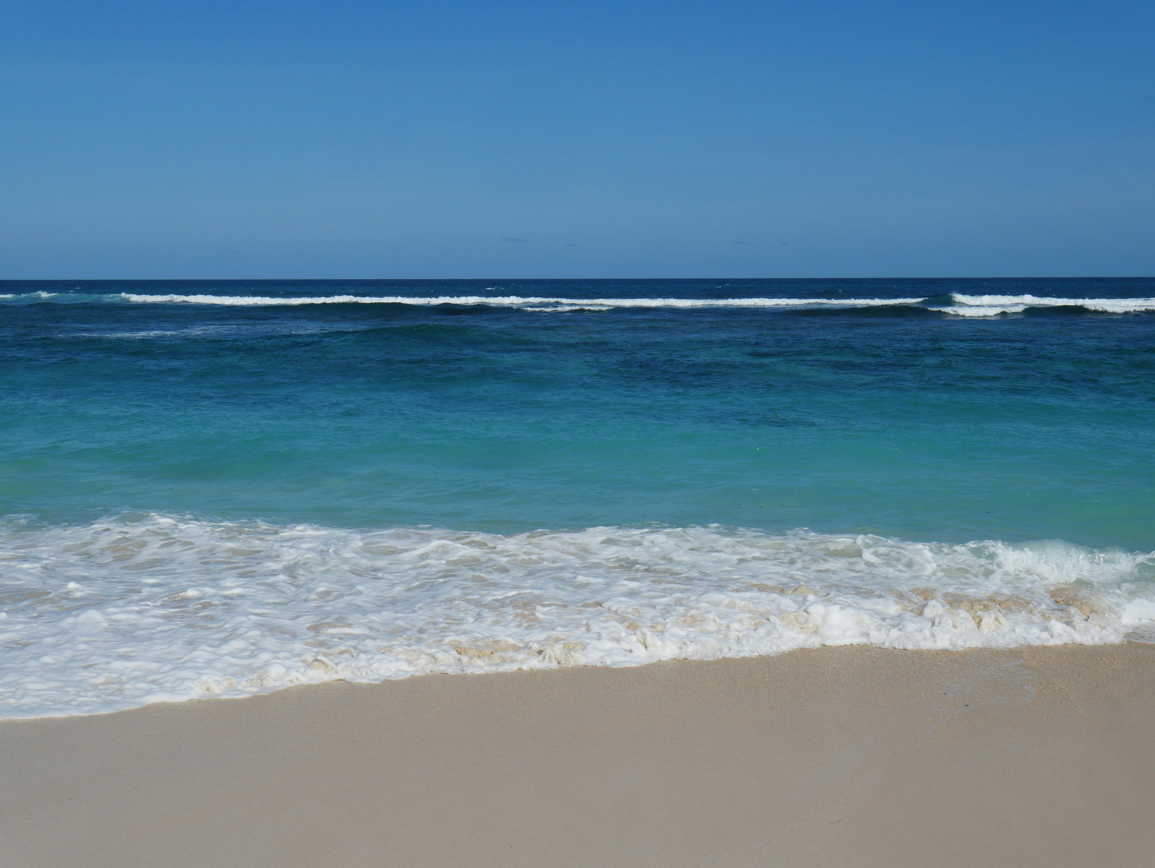 Photo by brandonprajogo