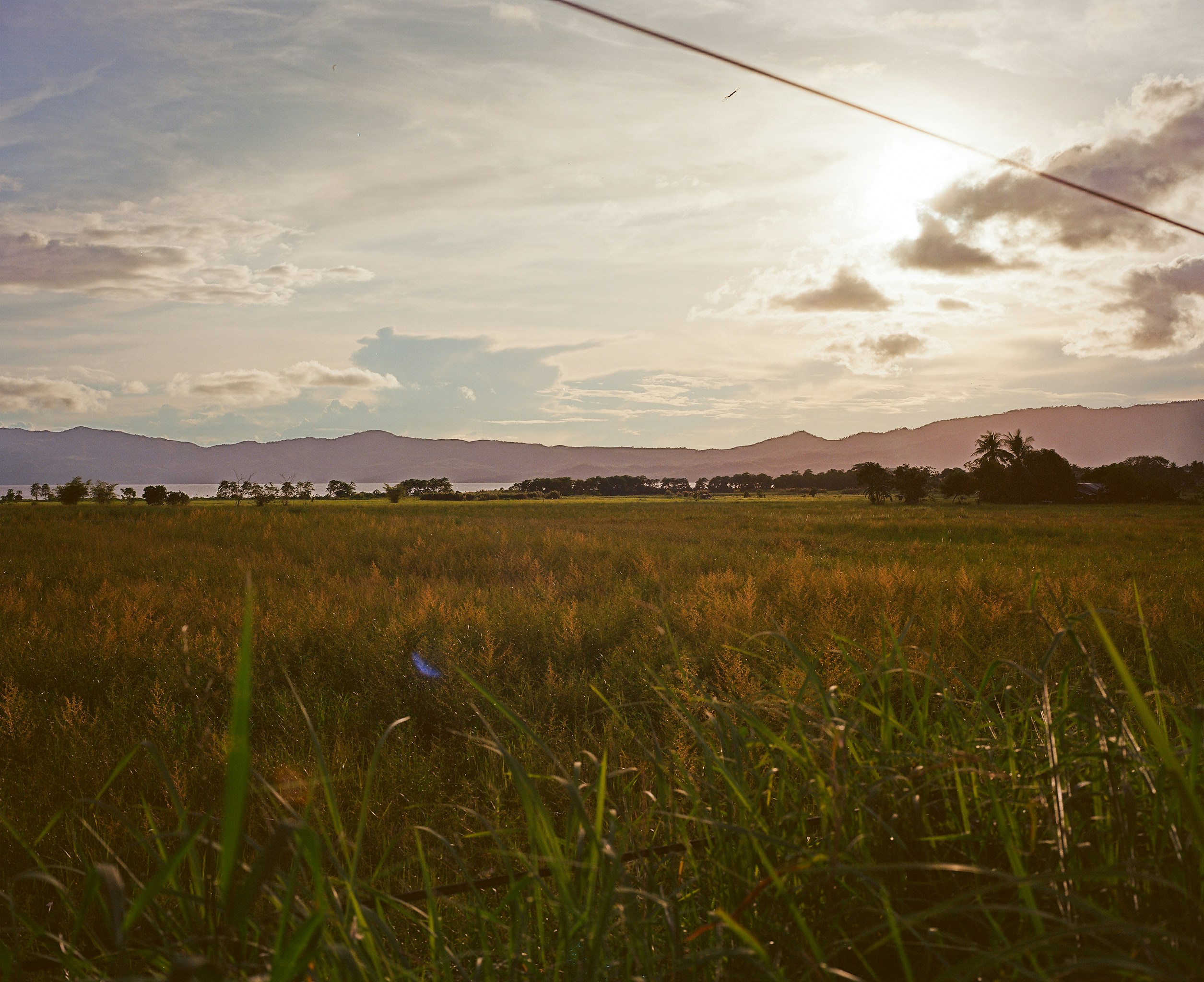Golden field with distant mountains under a cloudy sky.