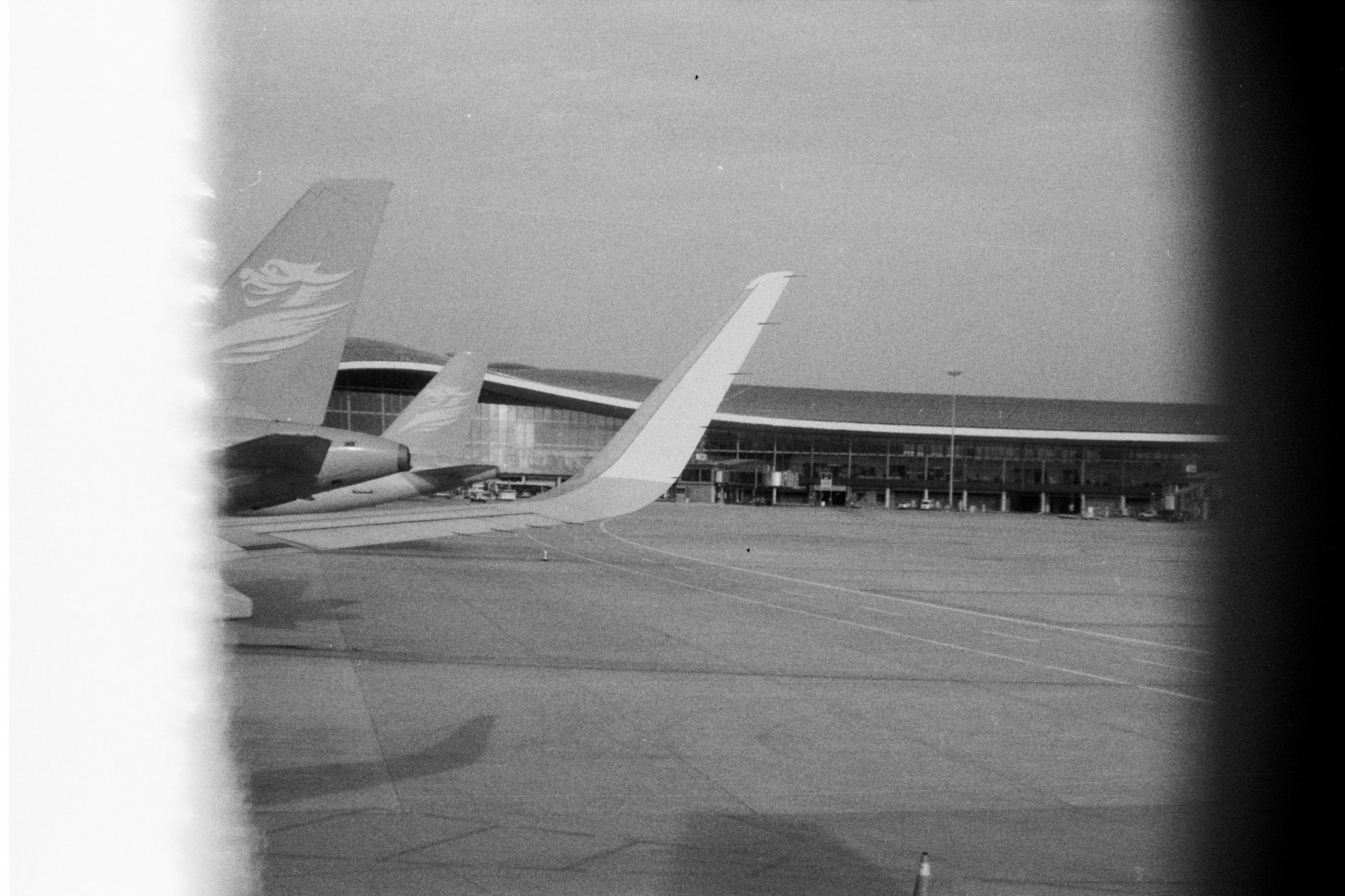 Photo by dingster_unsplash