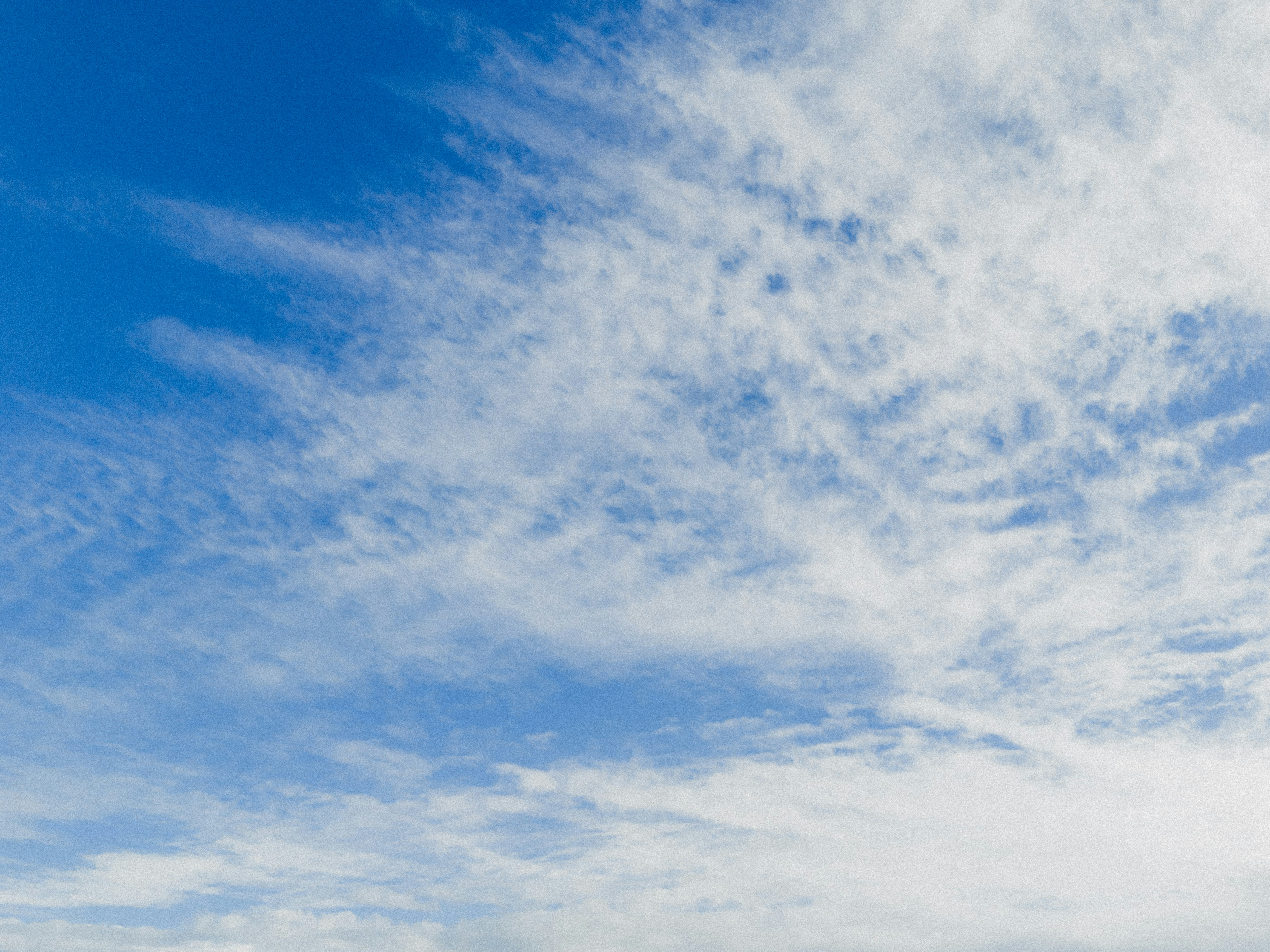 かすかな白い雲が明るい青空を漂っている