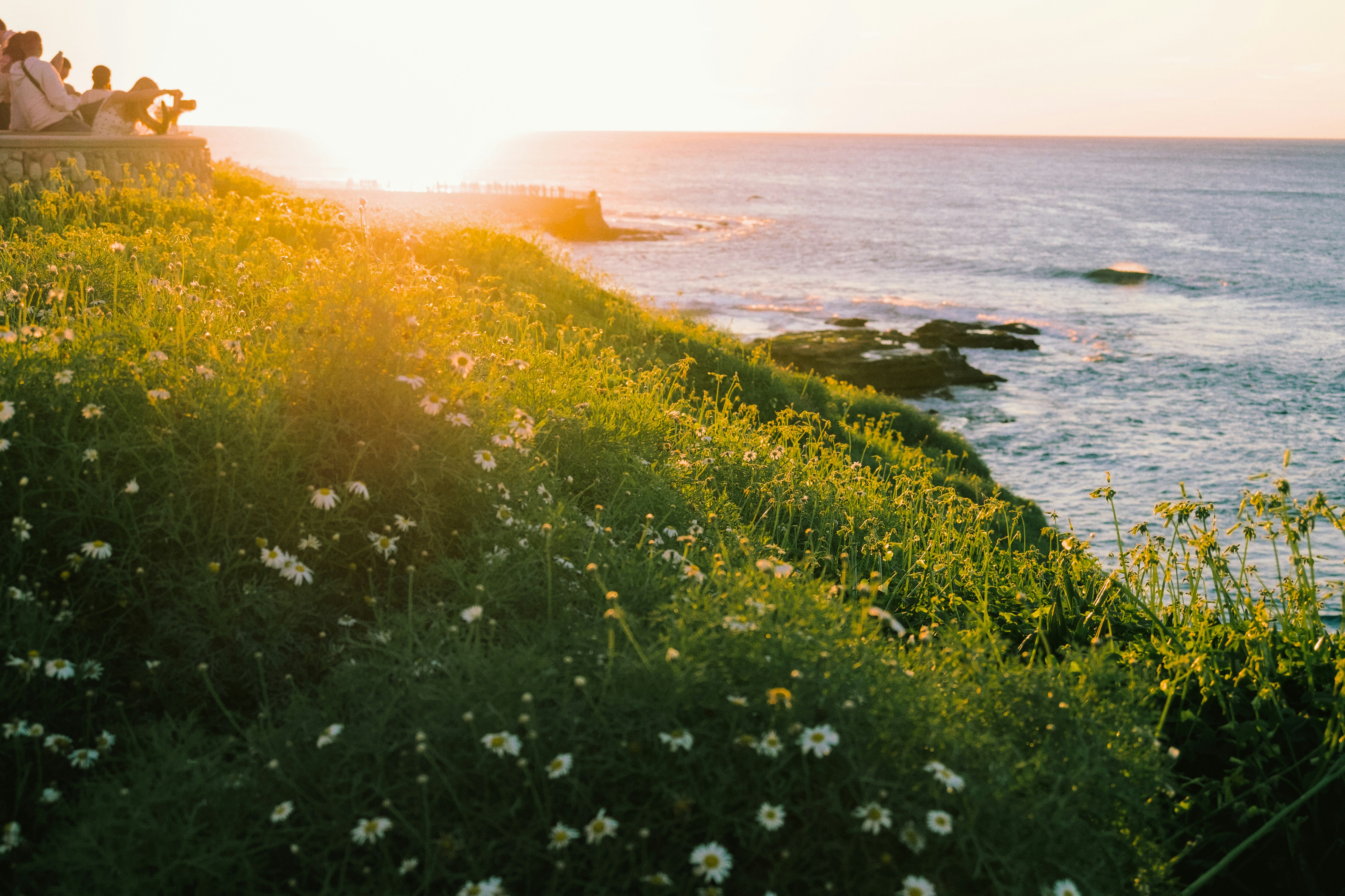 Photo by sohan_shingade