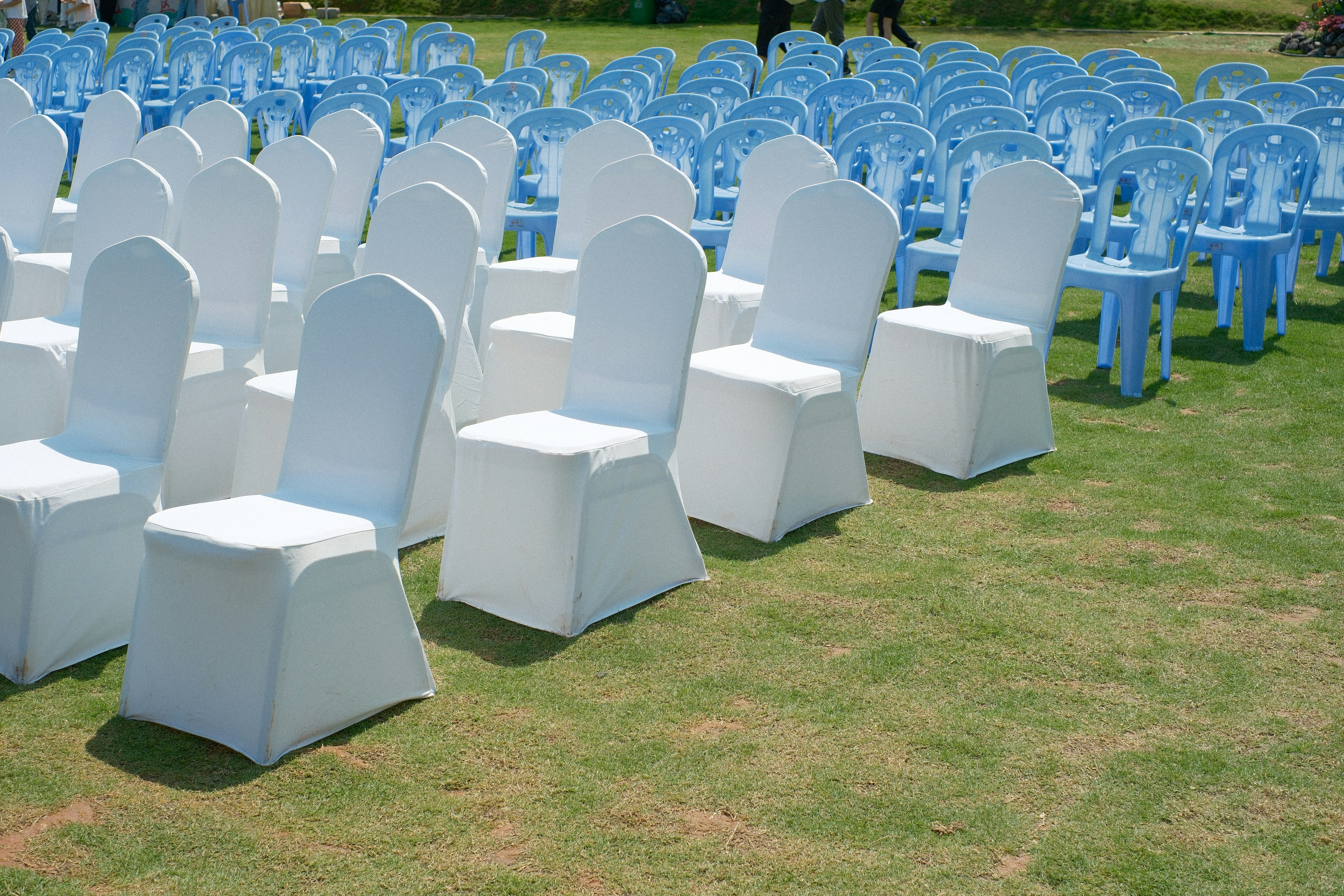 Rows of white and blue chairs set up on grass