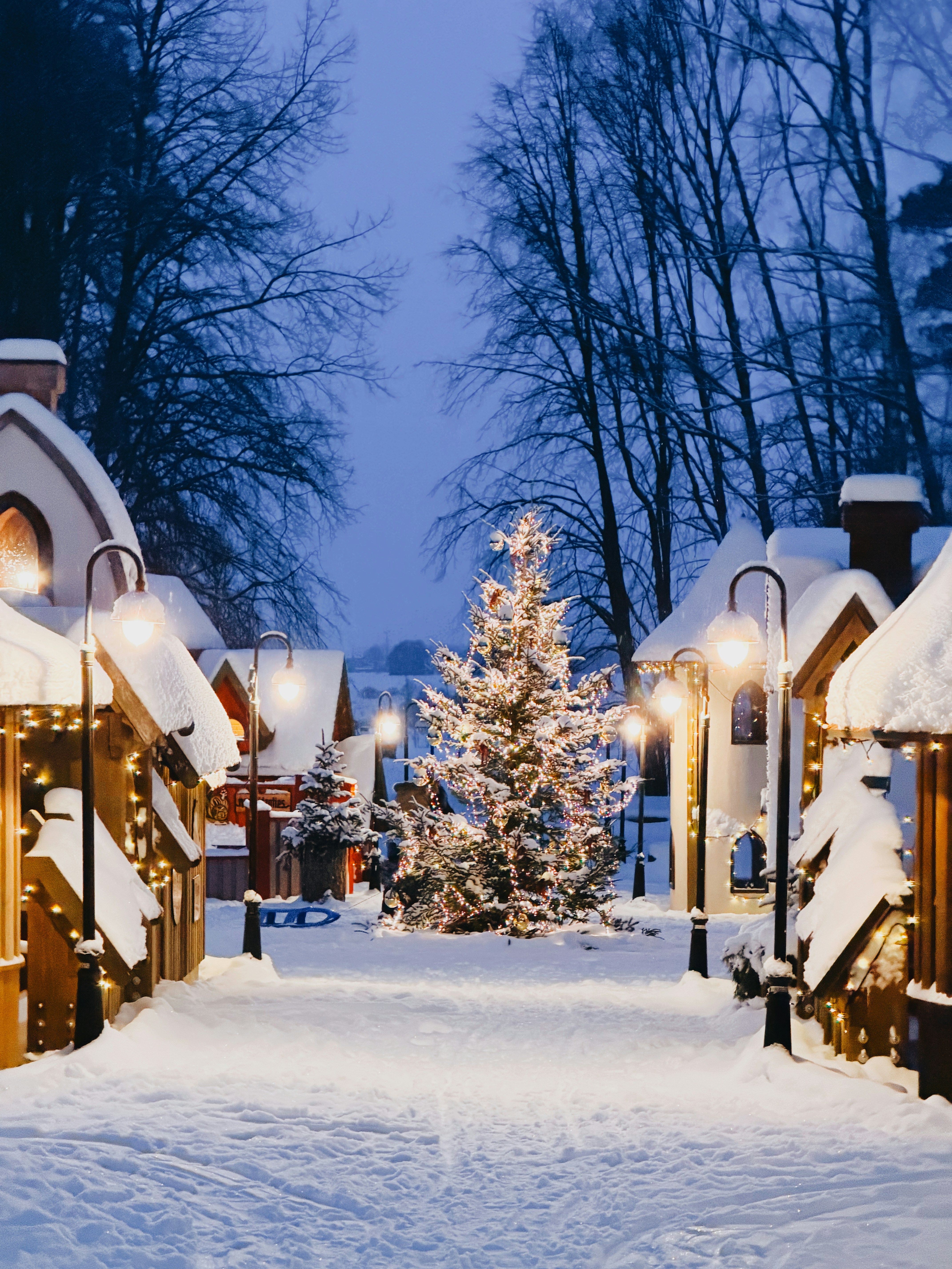 Snowy village street with decorated christmas tree at dusk.