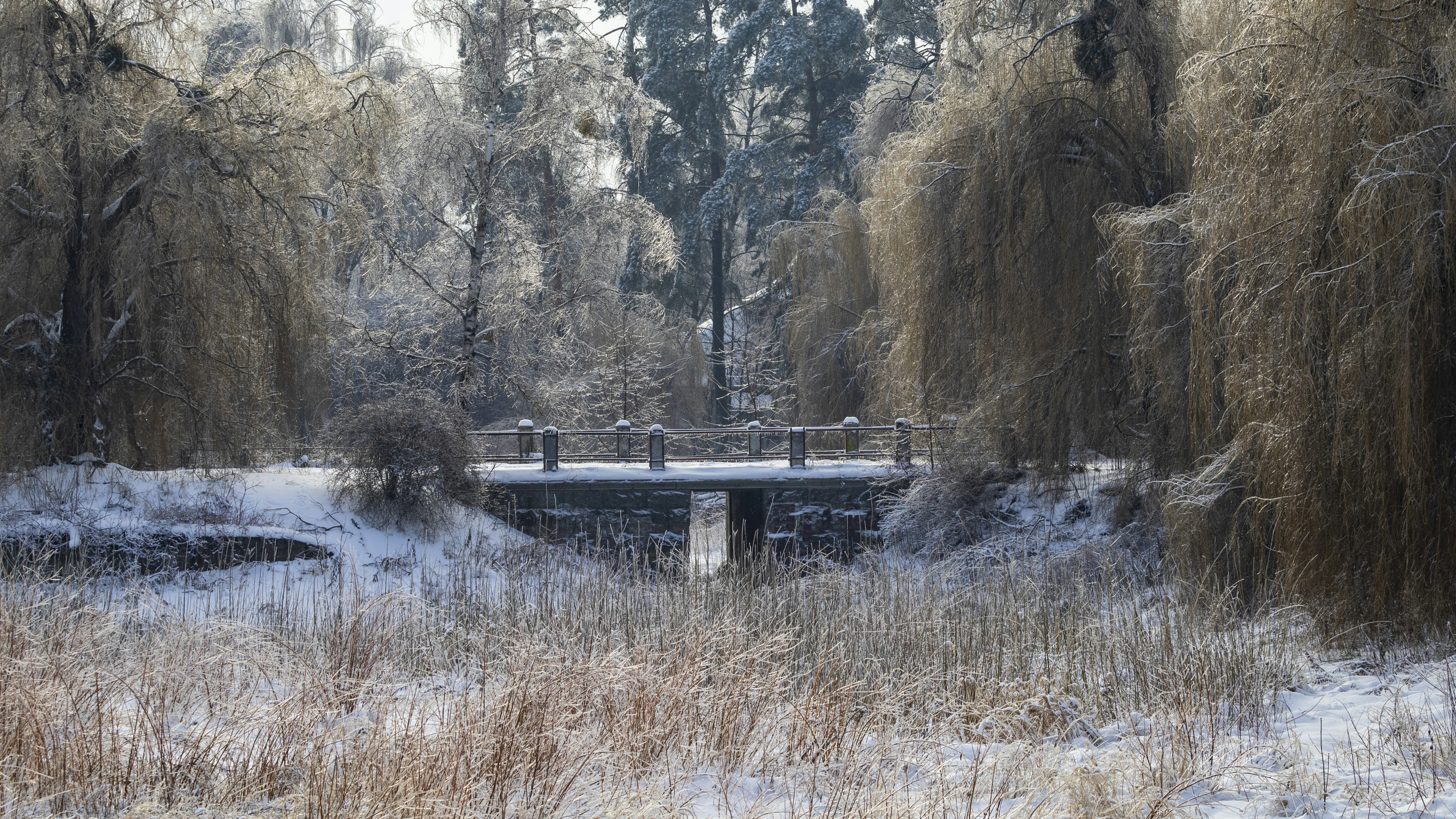 Photo by uin84917798