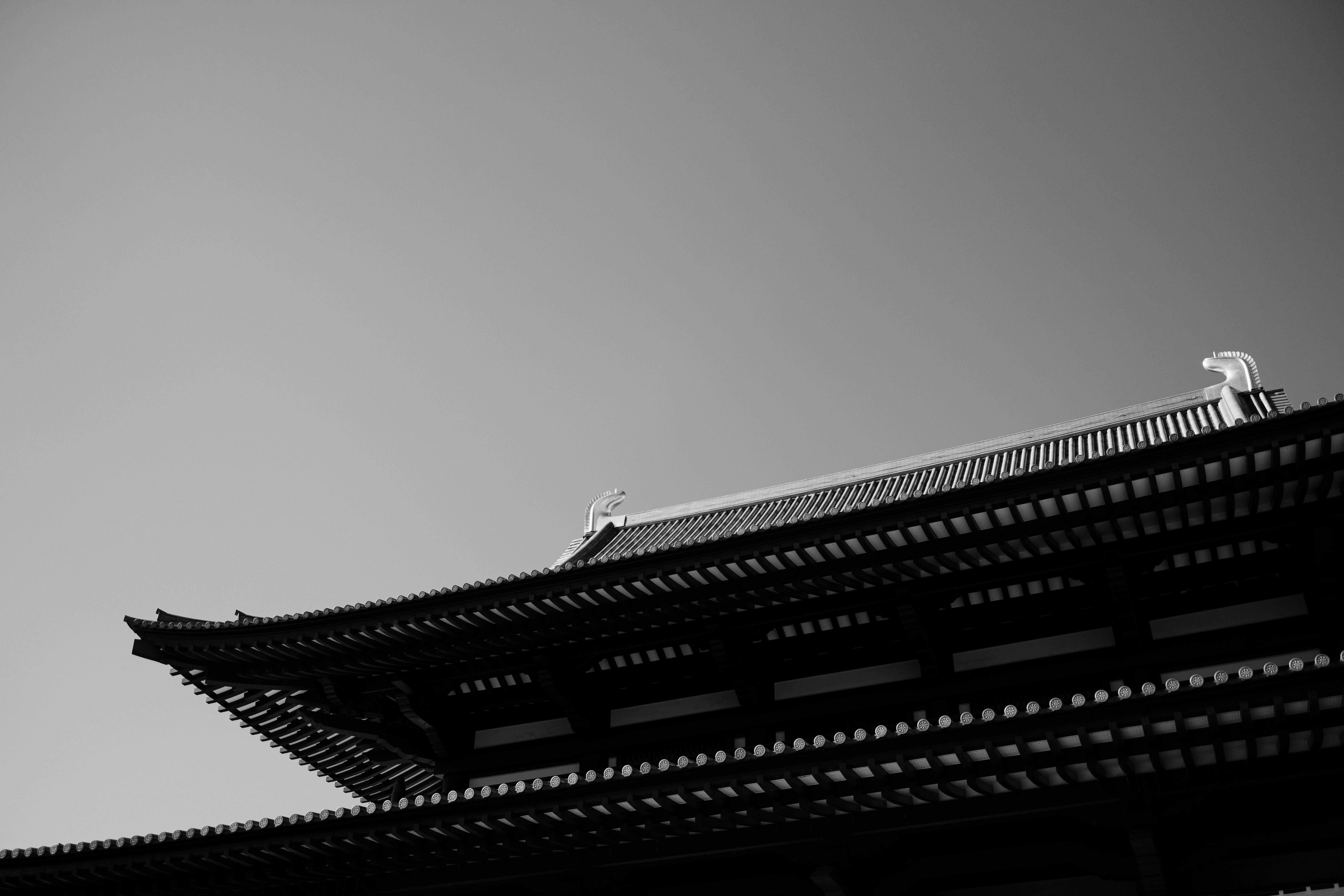 Photo by cindybartillon